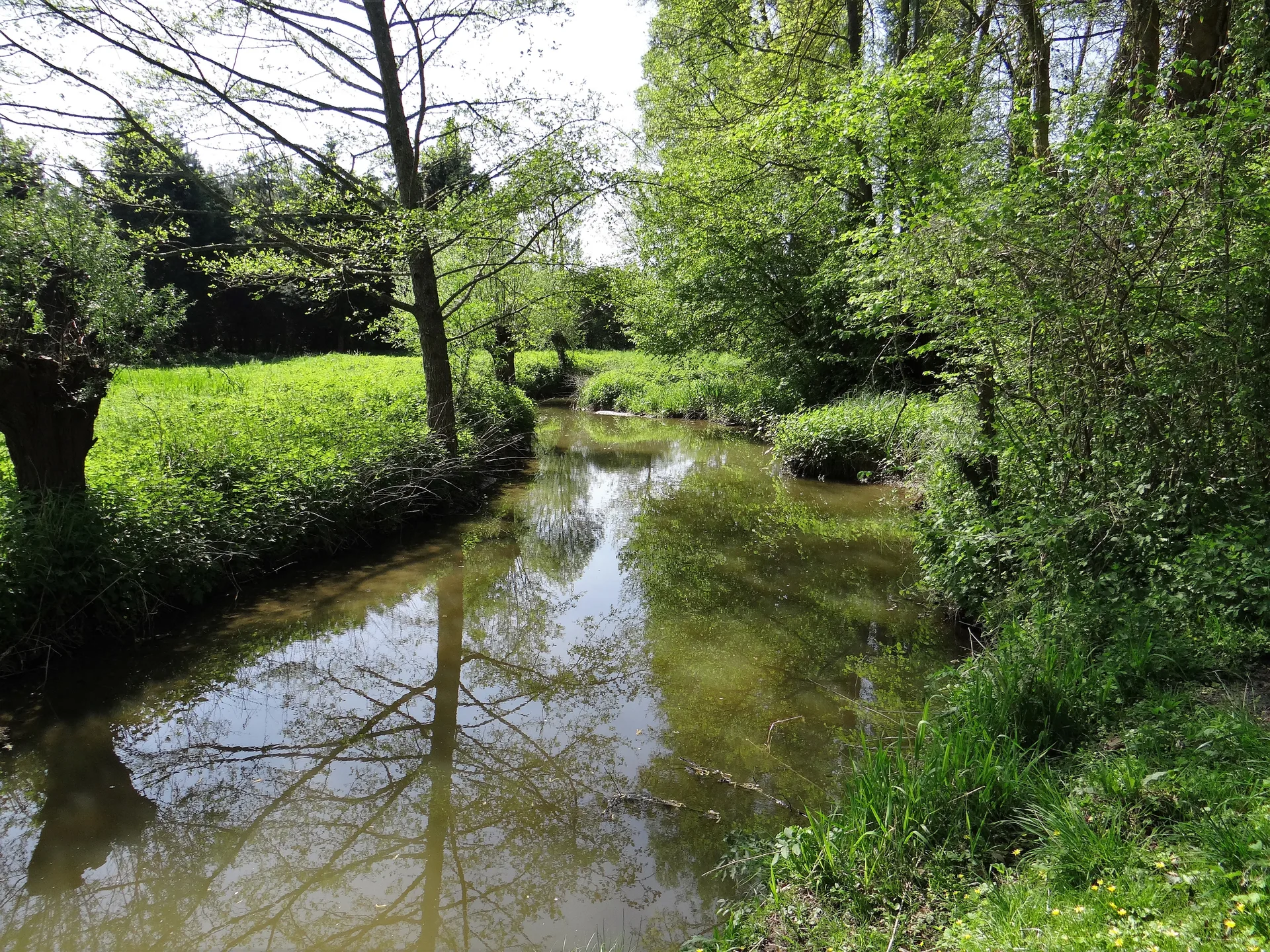 Etang de Piquereau à Chailly-en-Gâtinais — À 2,3 km du lac