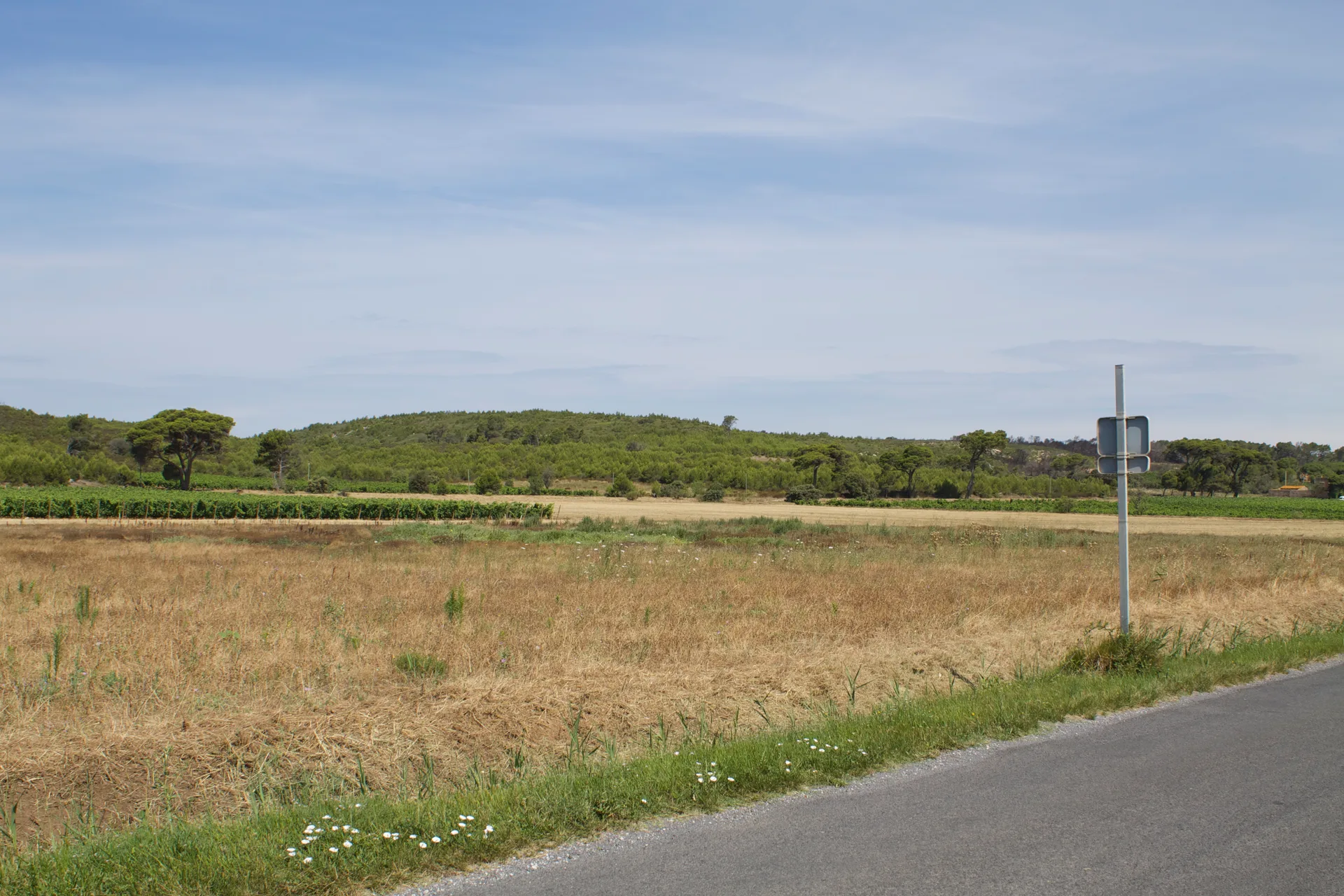 Étang de Pissevaches à Fleury — À 876 m du lac