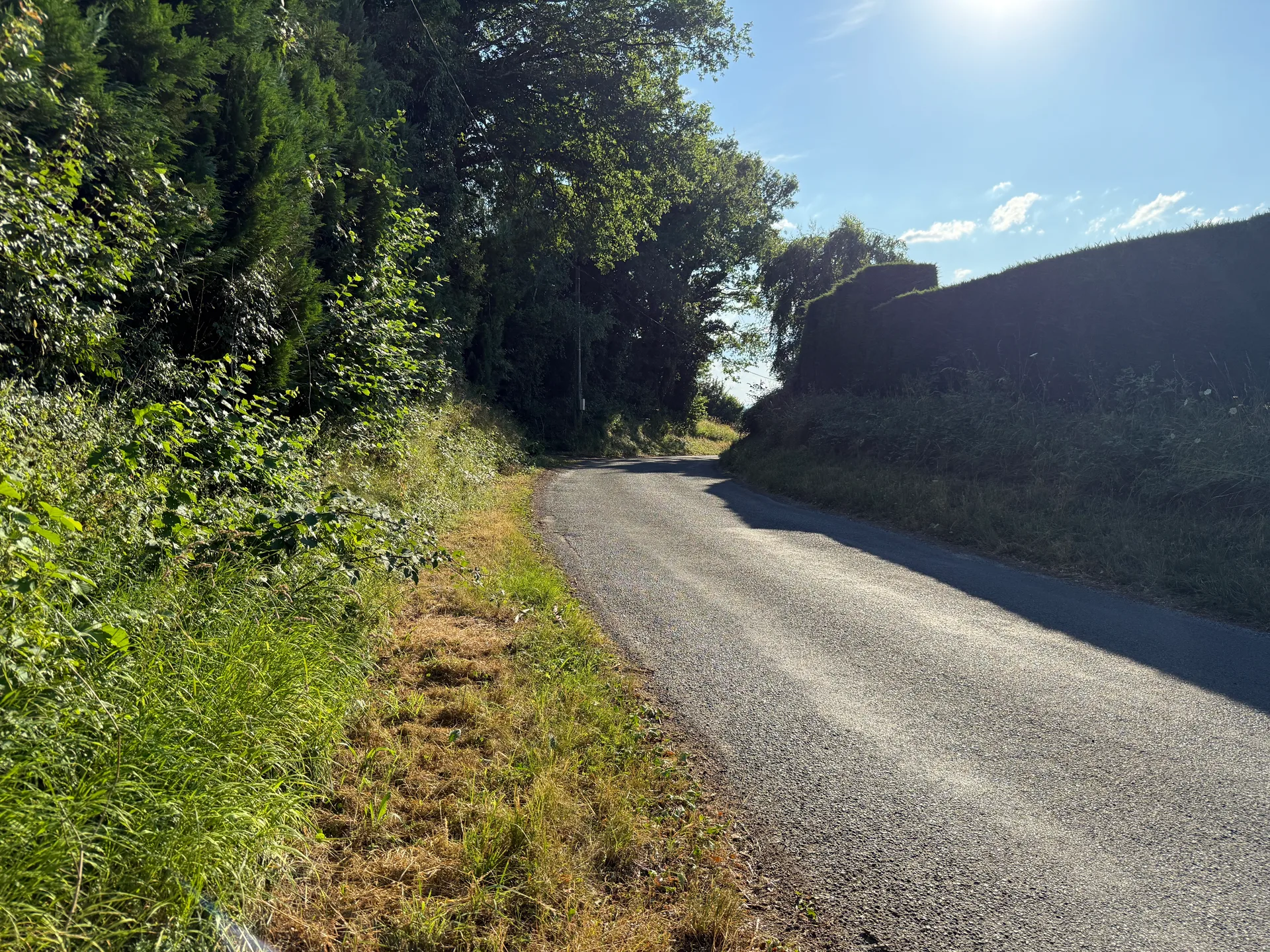 Etang de Polliat à Buellas — À 2,7 km du lac