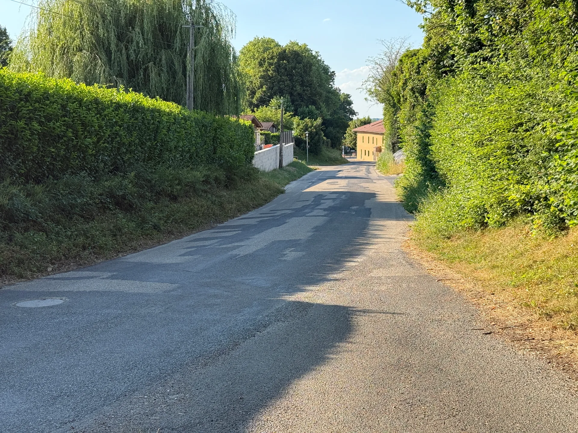 Etang de Polliat à Buellas — À 2,6 km du lac