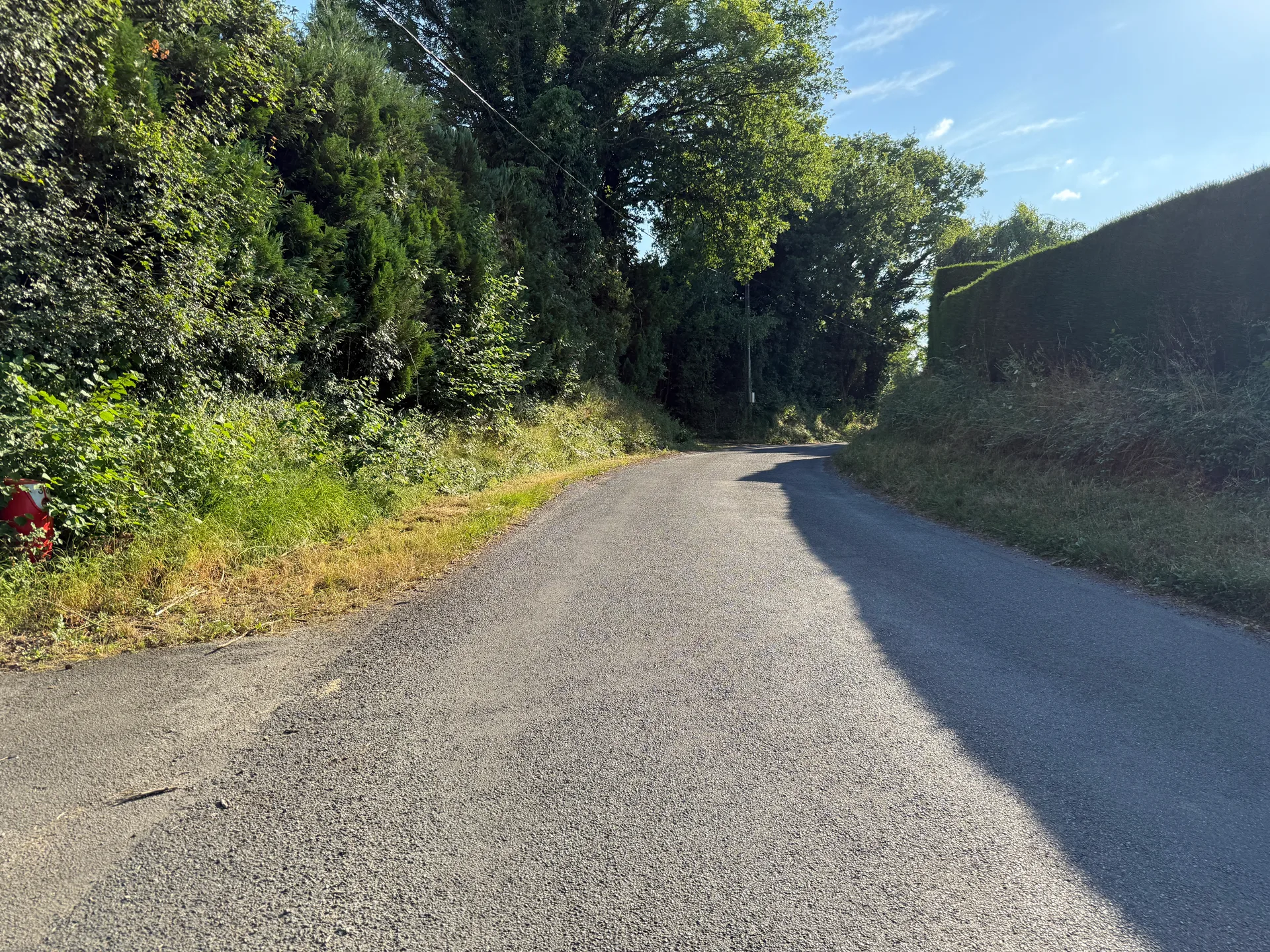 Etang de Polliat à Buellas — À 2,7 km du lac