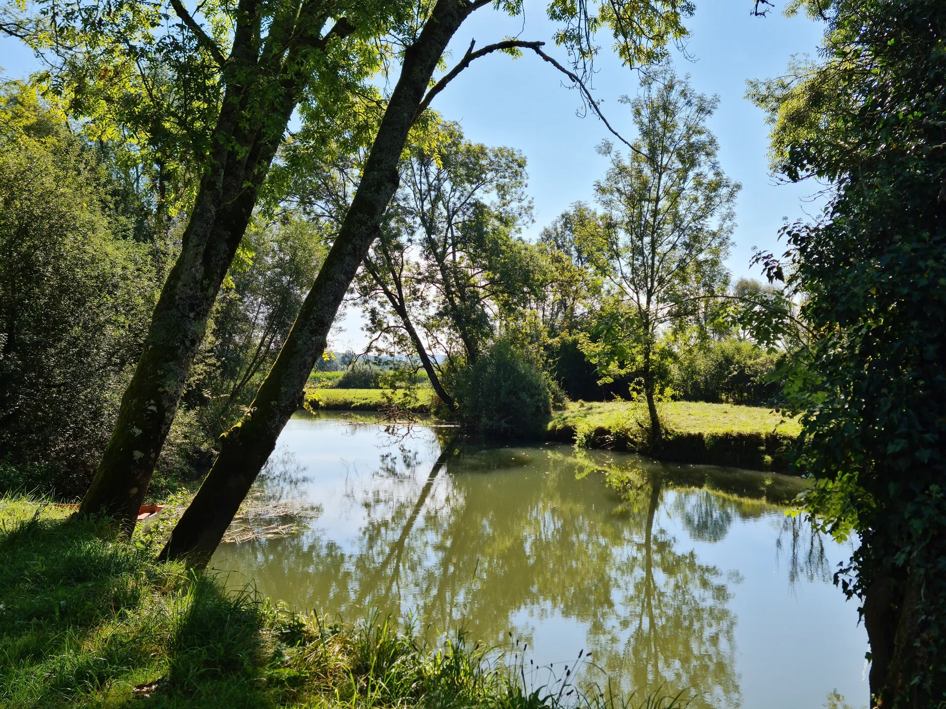 Etang de Pontcey à Pontcey — À 2,7 km du lac