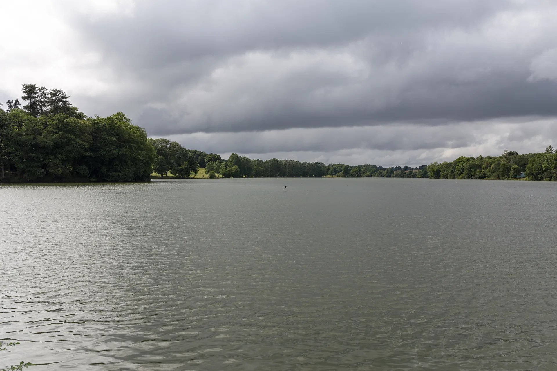 Etang de Port Brille à Port-Brillet — À 253 m du lac