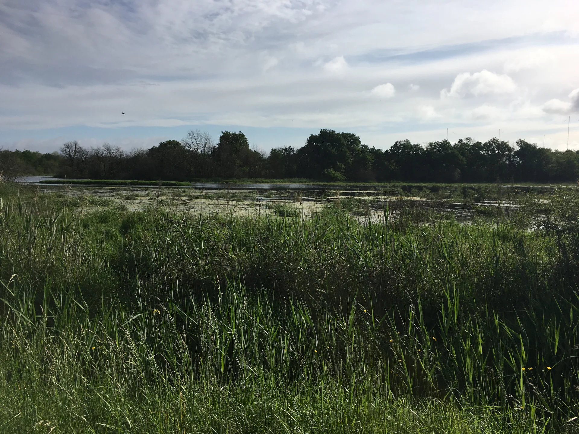 Etang de Rianvert à Rosnay — À 2,3 km du lac