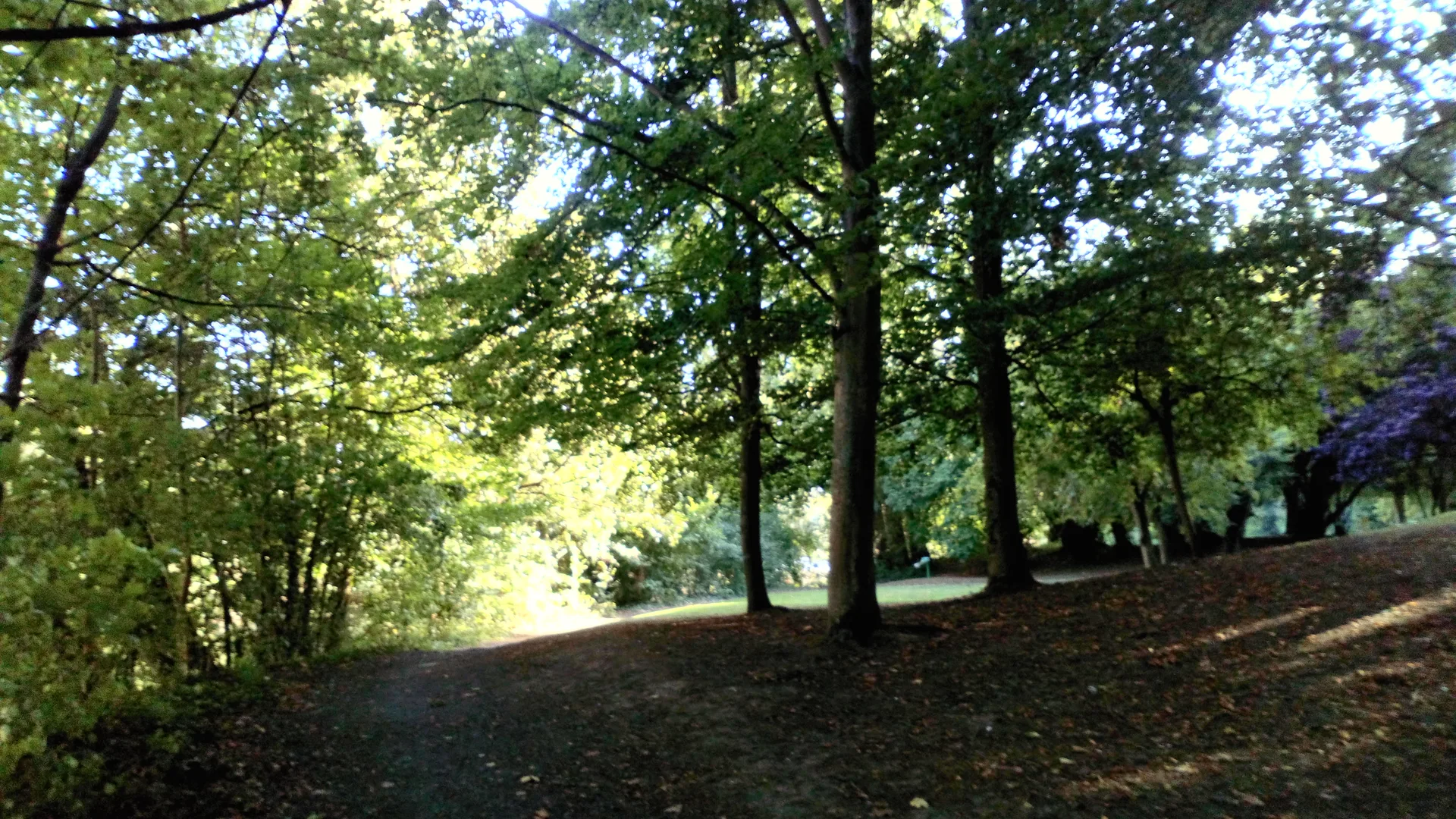 Etang  de Robecourt à Péronne — Sur le lac