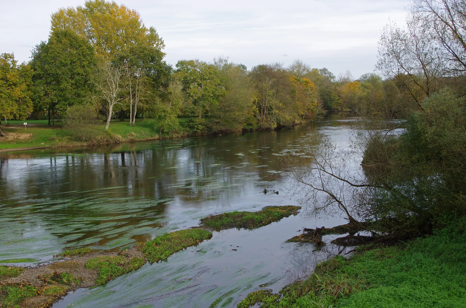 Etang de Romefort à Ciron — À 4,3 km du lac