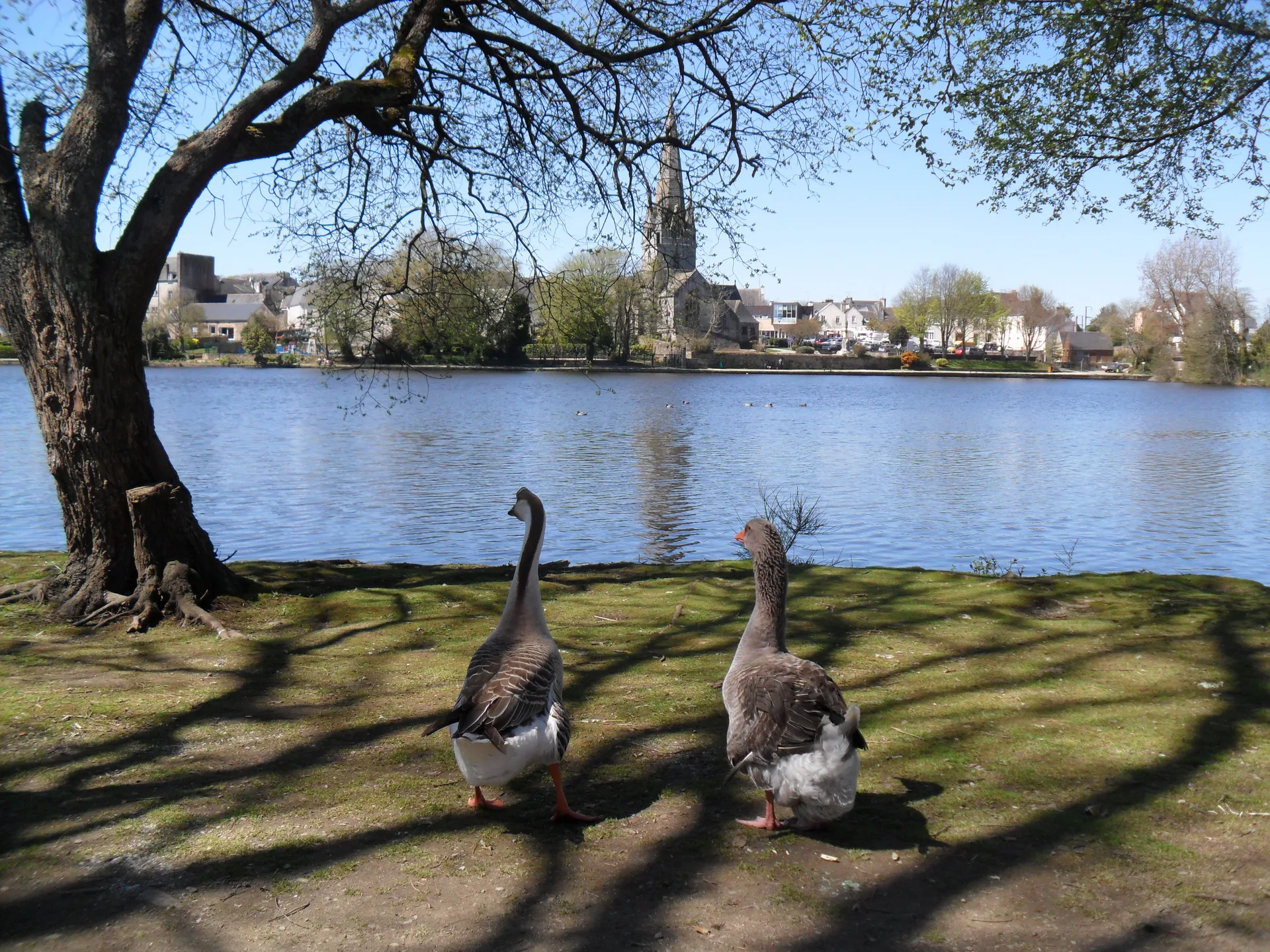 Etang de Rosporden à Rosporden — Sur le lac