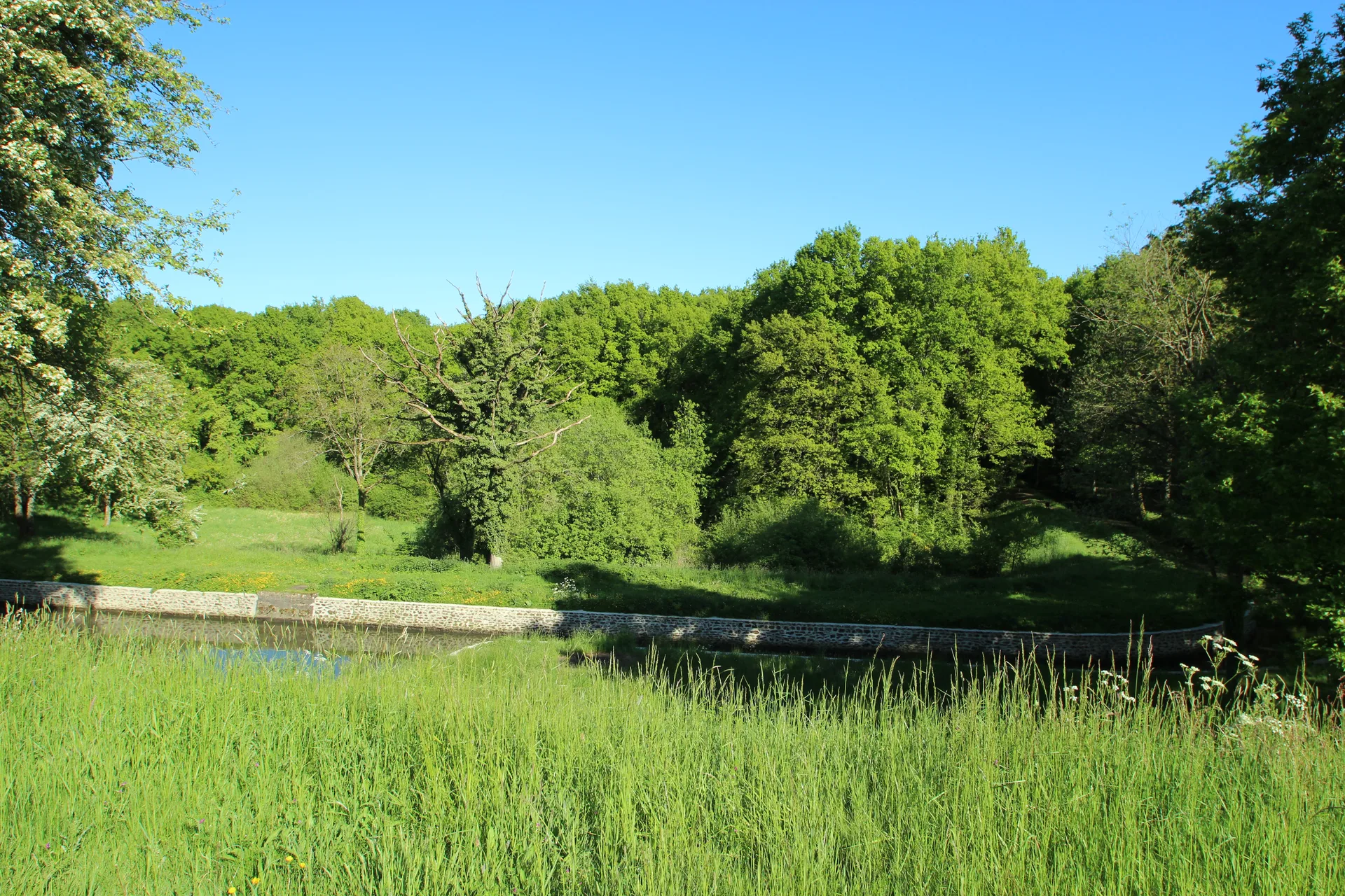 Etang de Saint Hubert à Le Perray-en-Yvelines — À 1,6 km du lac