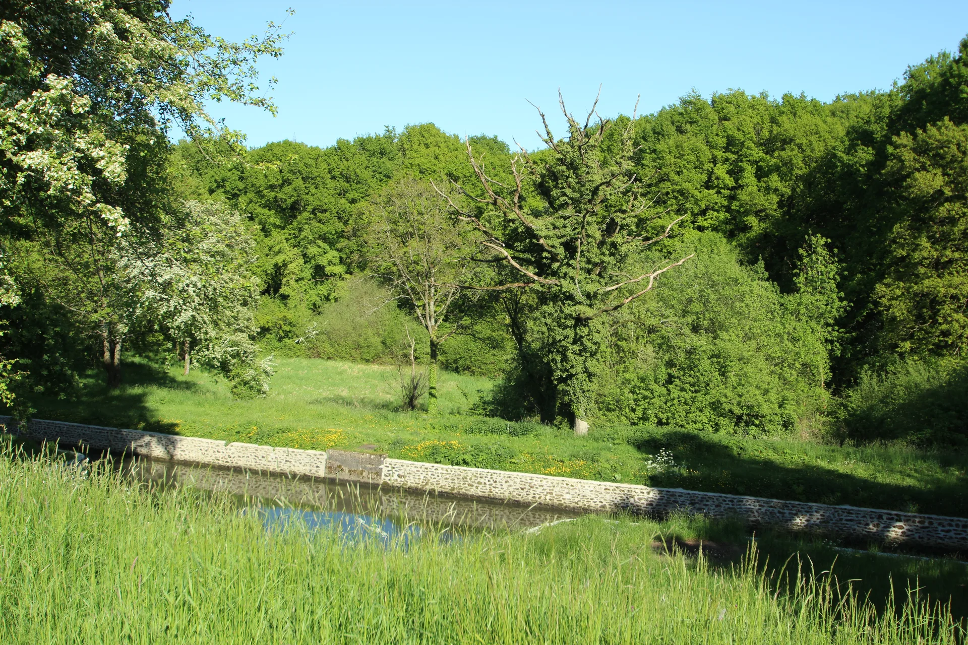 Etang de Saint Hubert à Le Perray-en-Yvelines — À 1,6 km du lac
