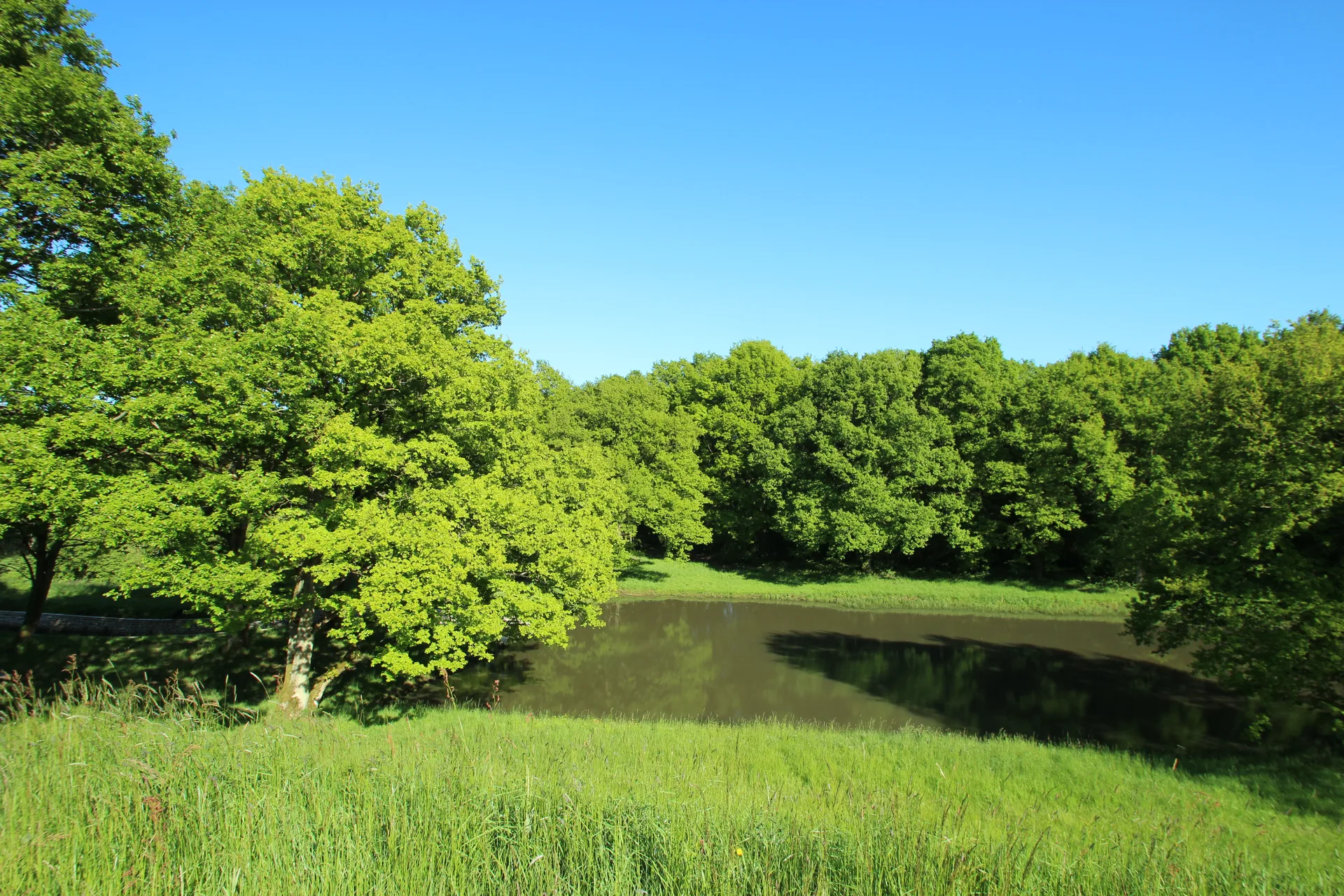 Etang de Saint Hubert à Le Perray-en-Yvelines — À 1,6 km du lac