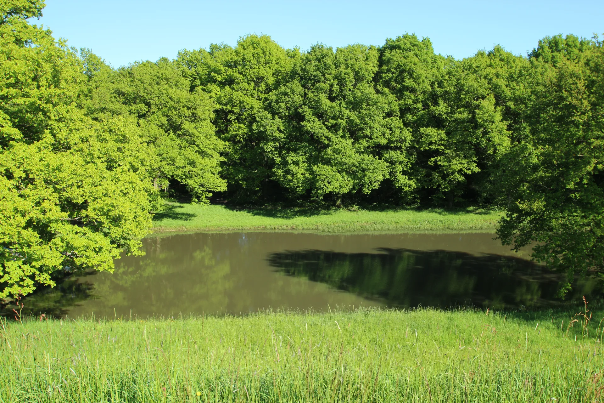 Etang de Saint Hubert à Le Perray-en-Yvelines — À 1,6 km du lac
