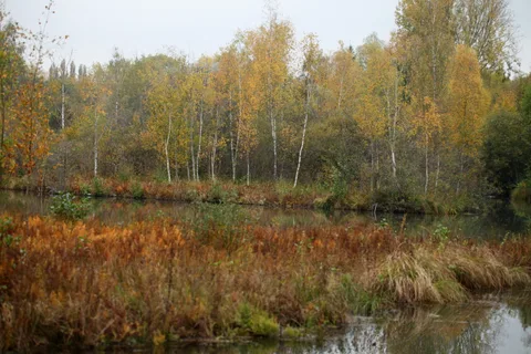 Etang de Saint Ladre