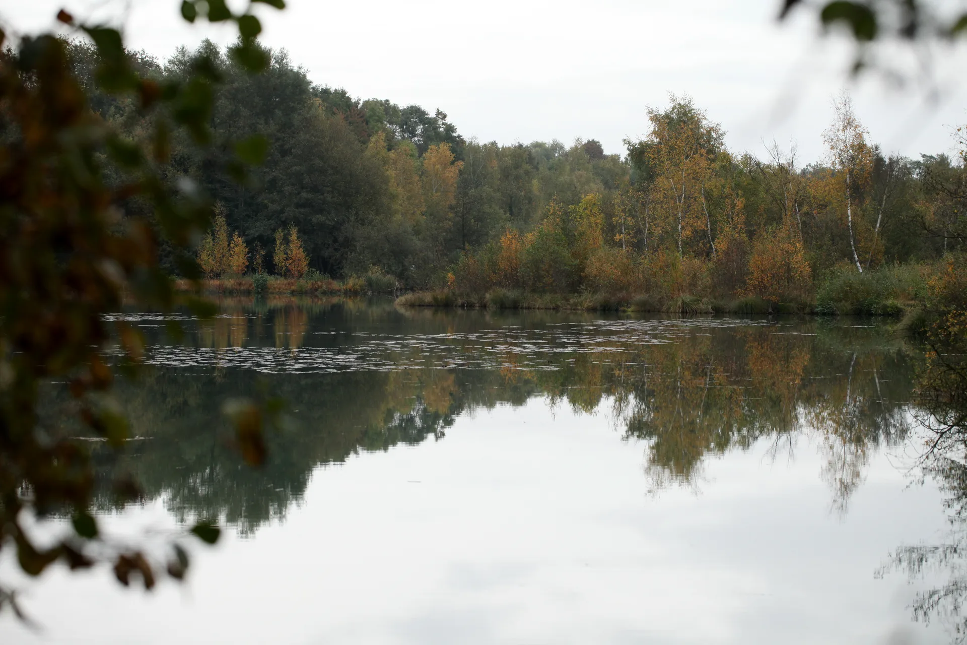 Etang de Saint Ladre à Boves — À 205 m du lac