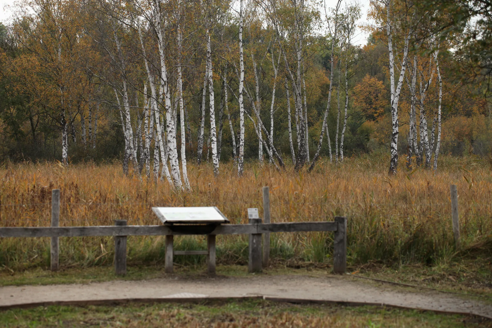 Etang de Saint Ladre à Boves — À 210 m du lac