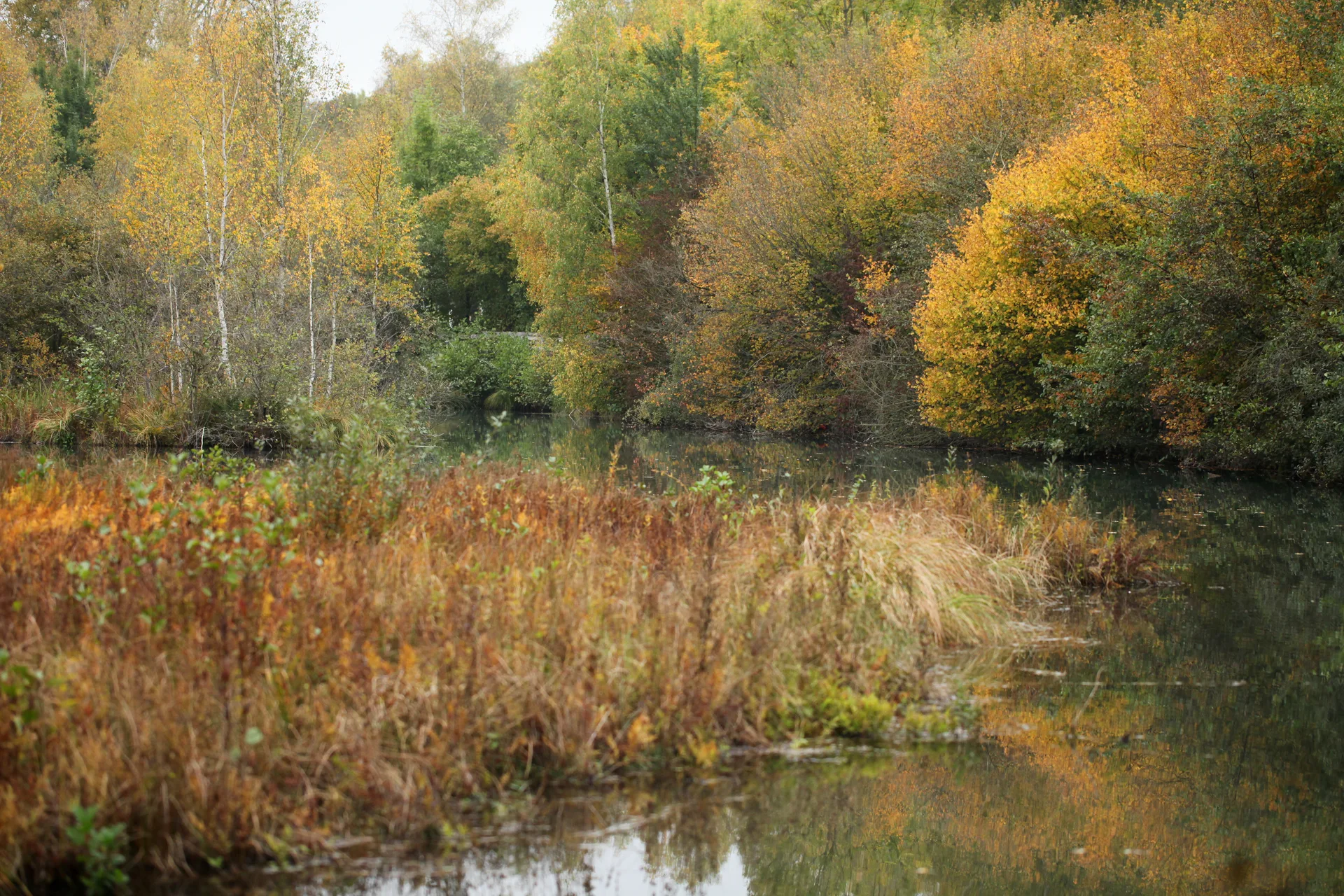 Etang de Saint Ladre à Boves — Sur le lac