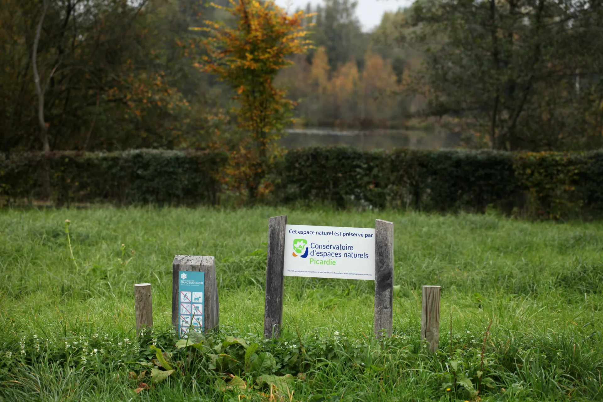 Etang de Saint Ladre à Boves — Sur le lac