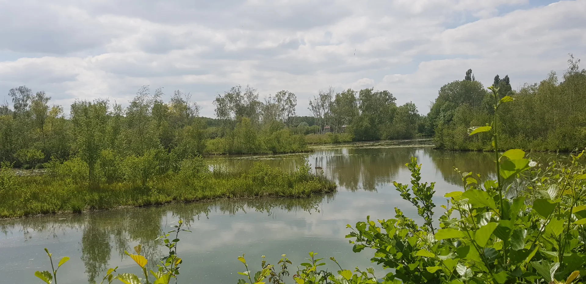 Etang de Saint Ladre à Boves — Sur le lac