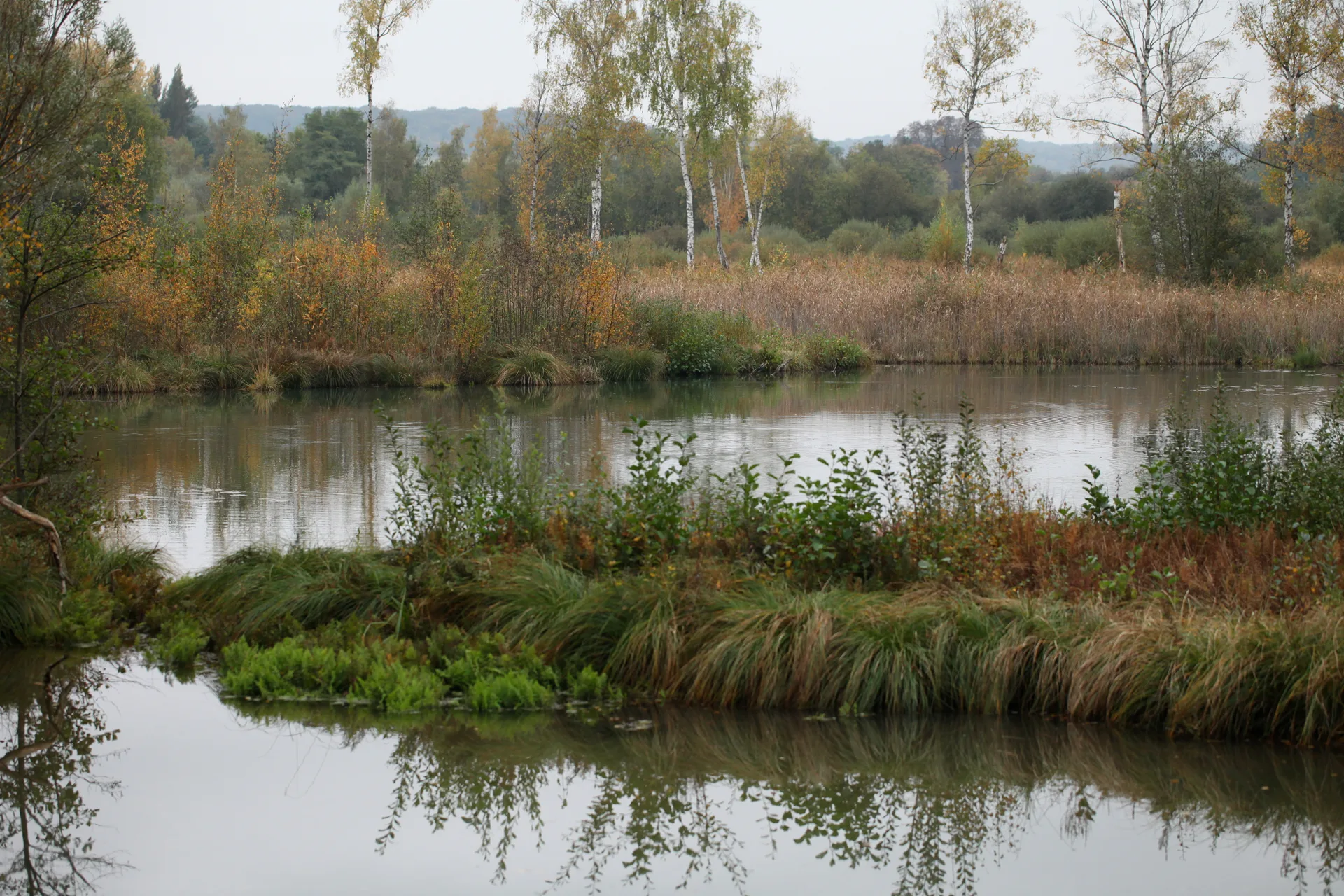 Etang de Saint Ladre à Boves — Sur le lac