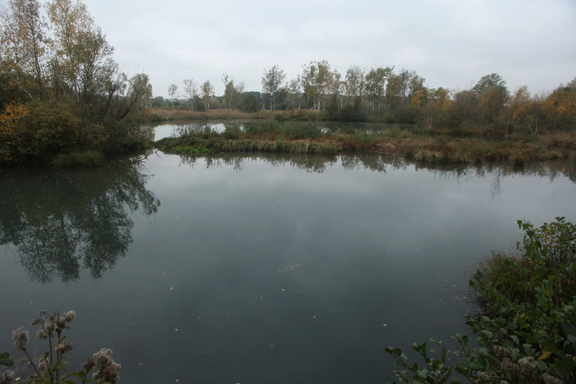 Etang de Saint Ladre à Boves — Sur le lac