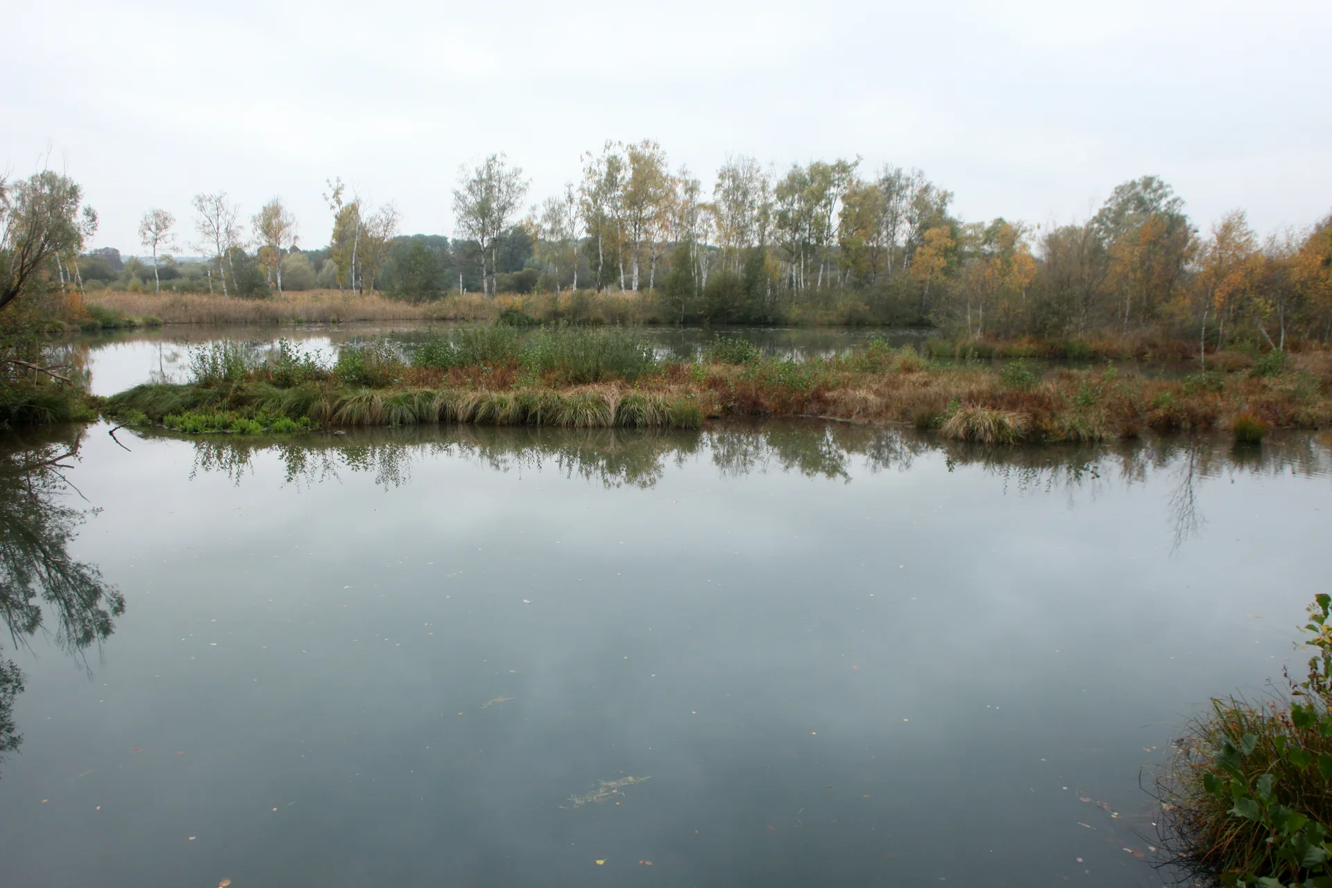 Etang de Saint Ladre à Boves — Sur le lac