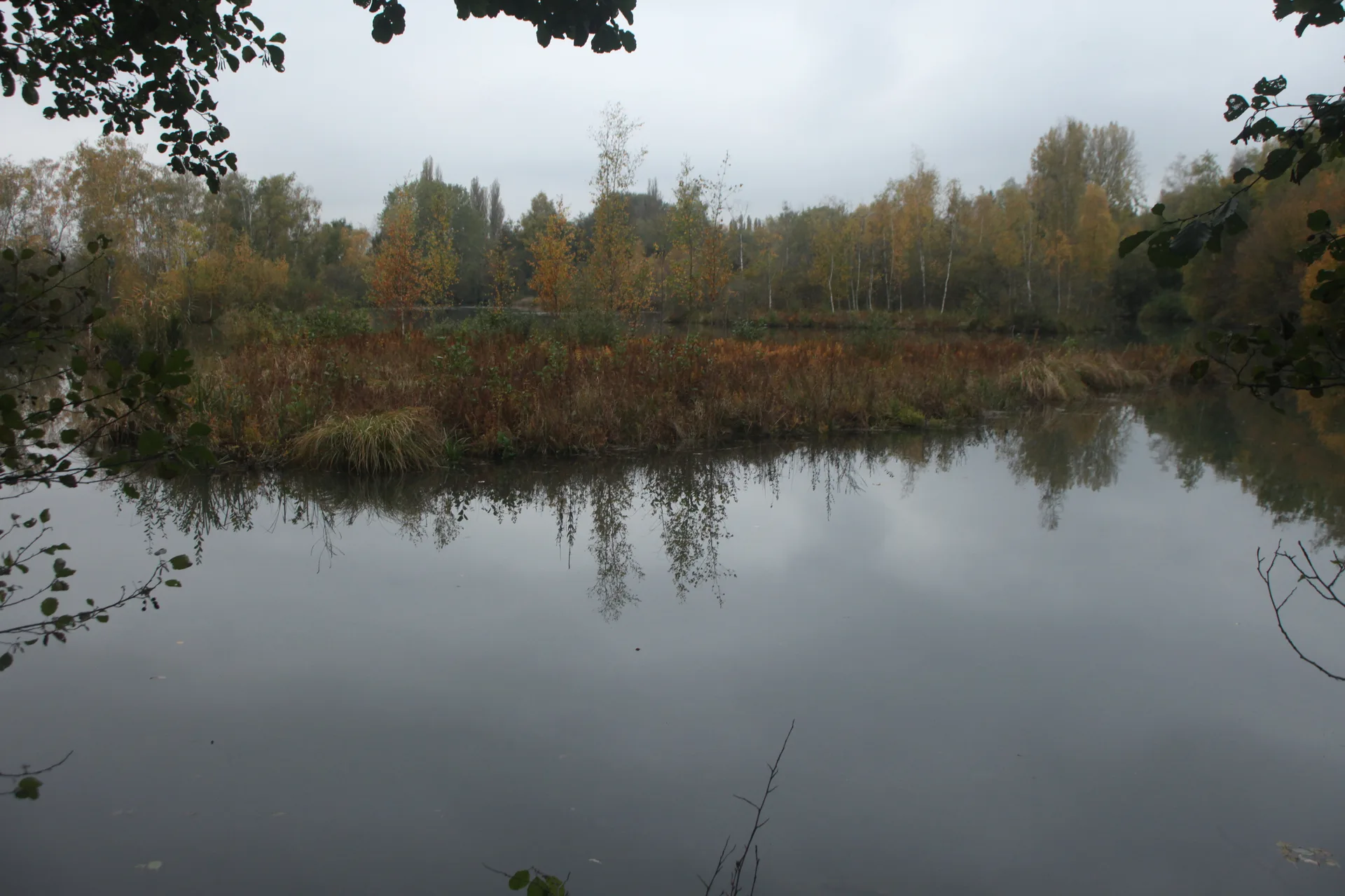 Etang de Saint Ladre à Boves — Sur le lac