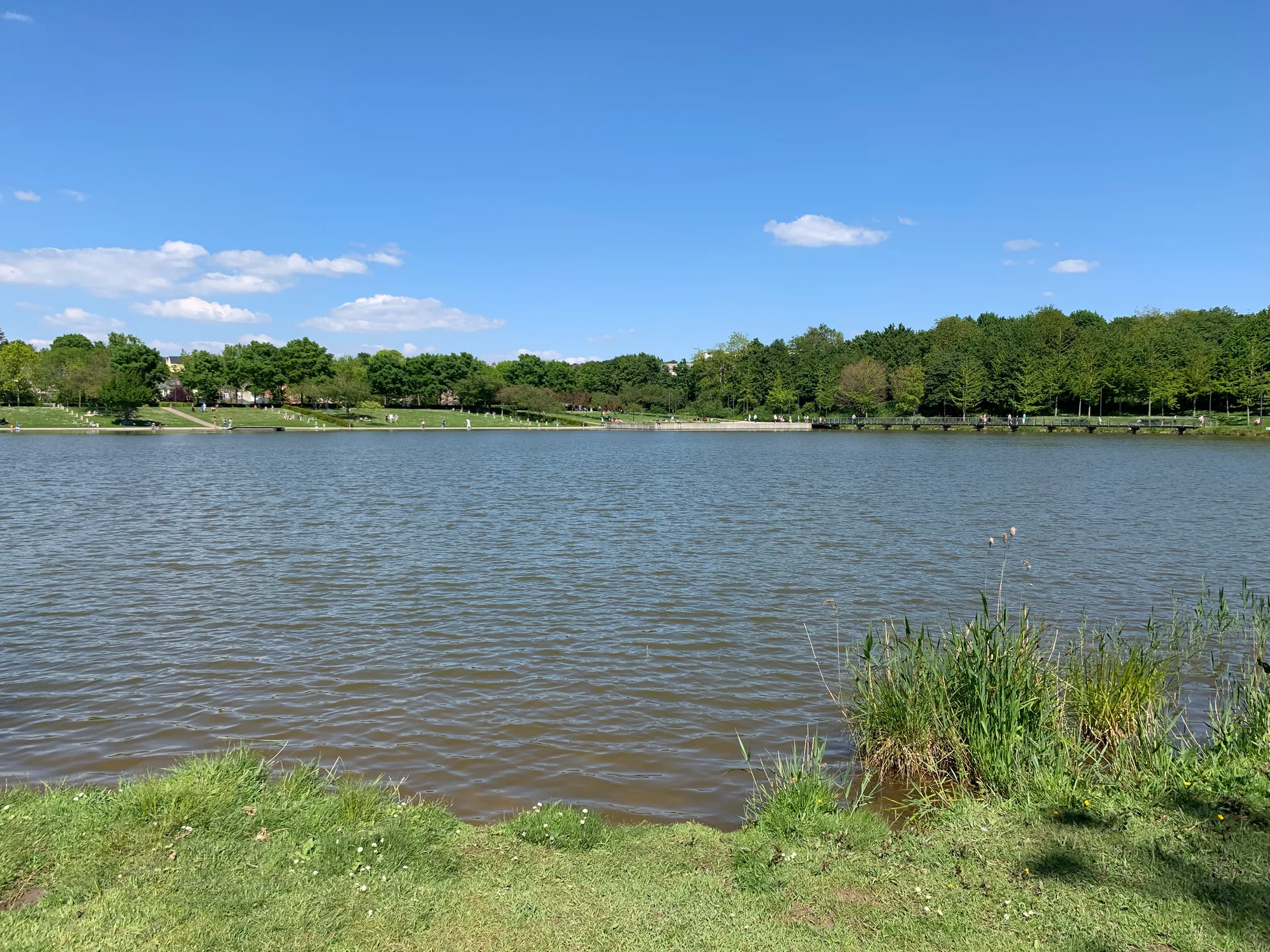 Etang  de Saint Pierre à Amiens — Sur le lac