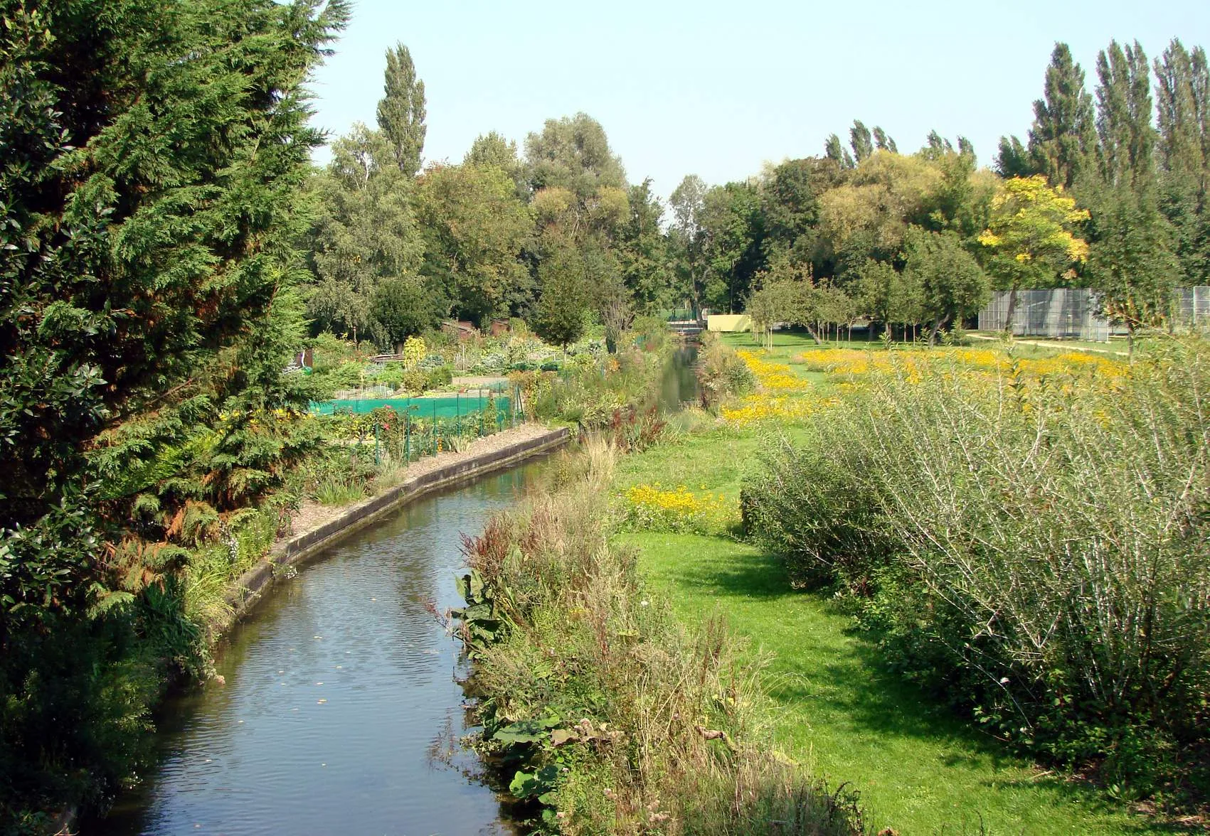 Etang  de Saint Pierre à Amiens — Sur le lac