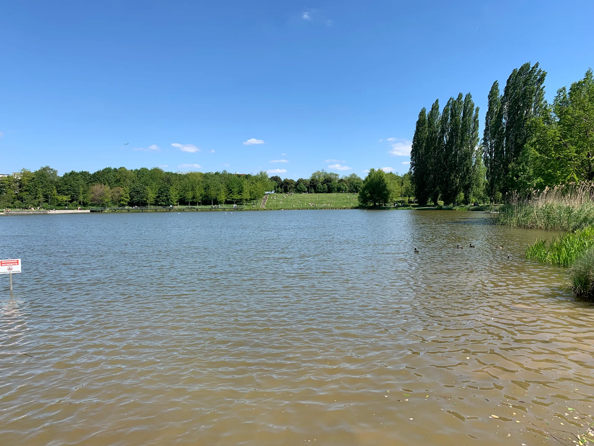 Etang  de Saint Pierre à Amiens — Sur le lac
