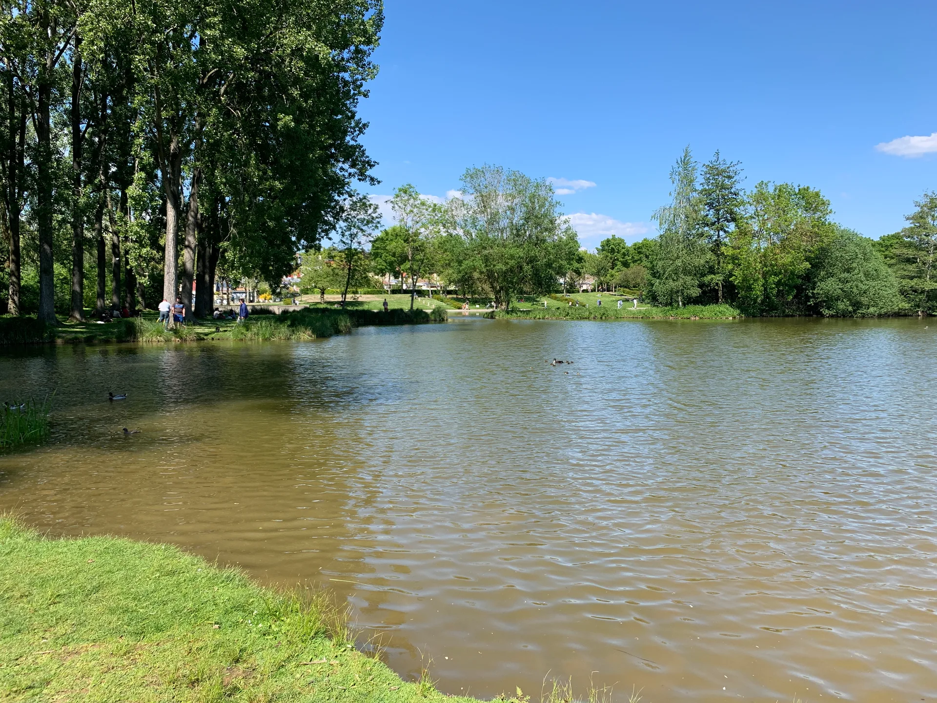Etang  de Saint Pierre à Amiens — Sur le lac