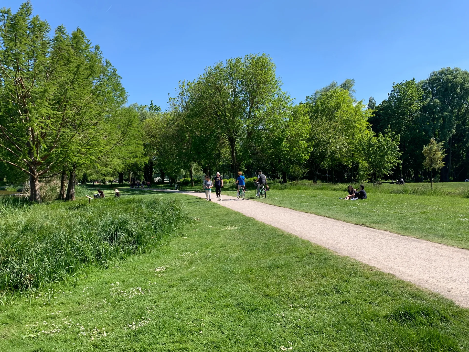 Etang  de Saint Pierre à Amiens — Sur le lac