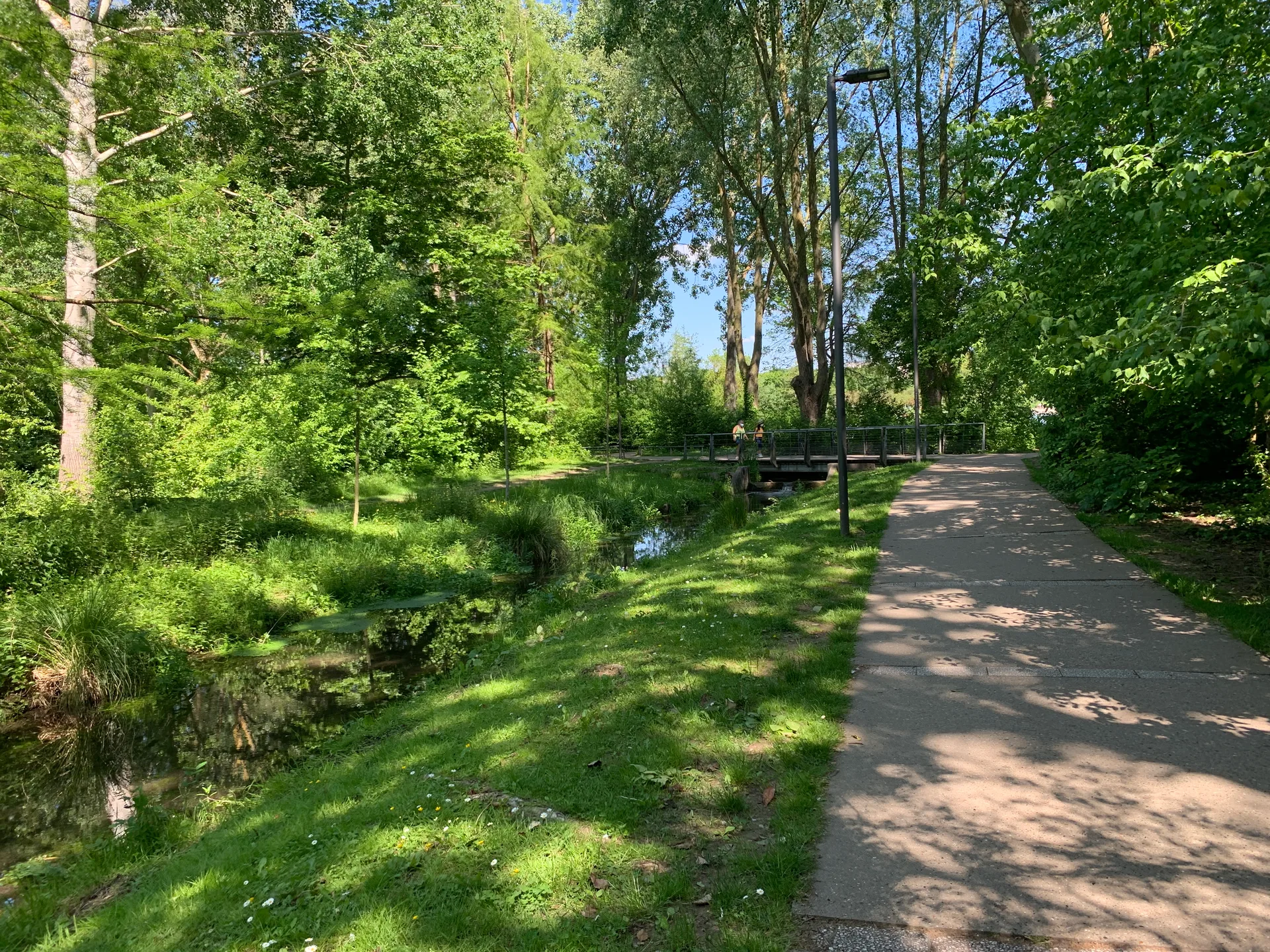 Etang  de Saint Pierre à Amiens — Sur le lac
