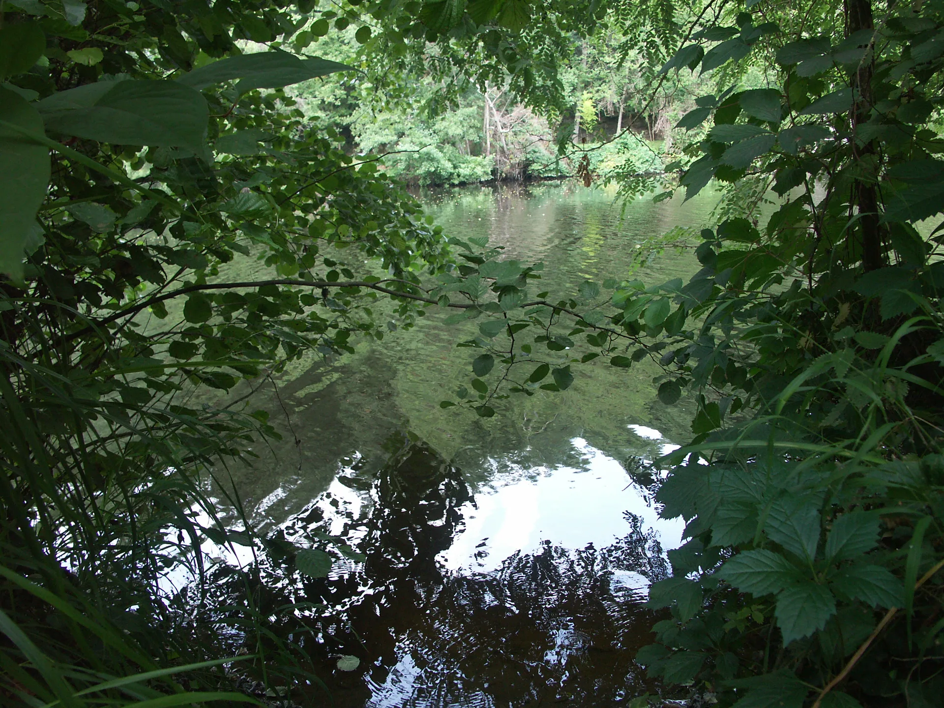 Etang de Sainte Anne à Montmorillon — À 3,3 km du lac
