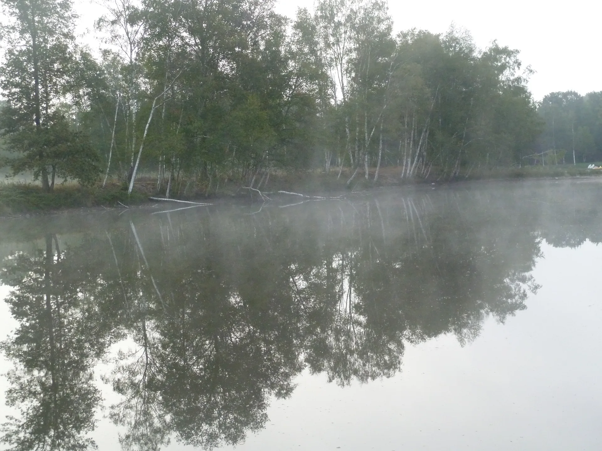 Etang de Sainte Montaine à Sainte-Montaine — À 1,4 km du lac