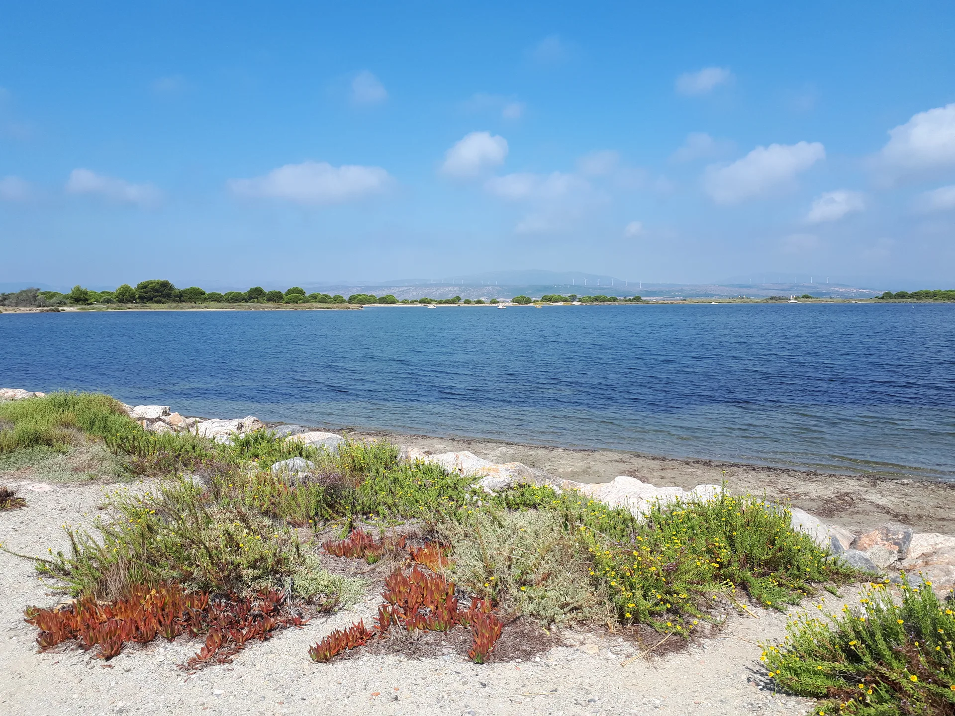 Étang de Salses-Leucate à Salses-le-Château — À 3,2 km du lac