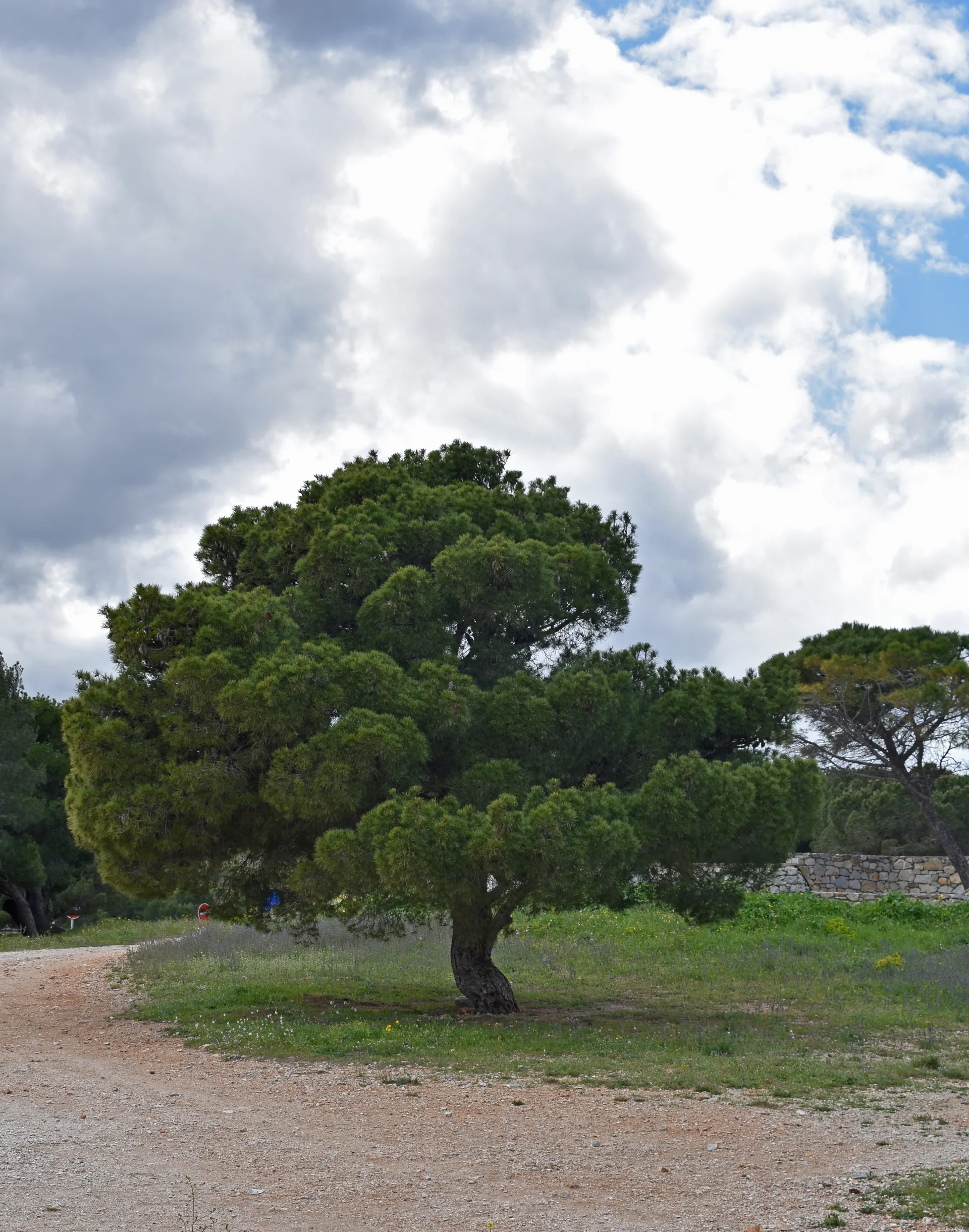 Étang de Salses-Leucate à Salses-le-Château — À 2,9 km du lac