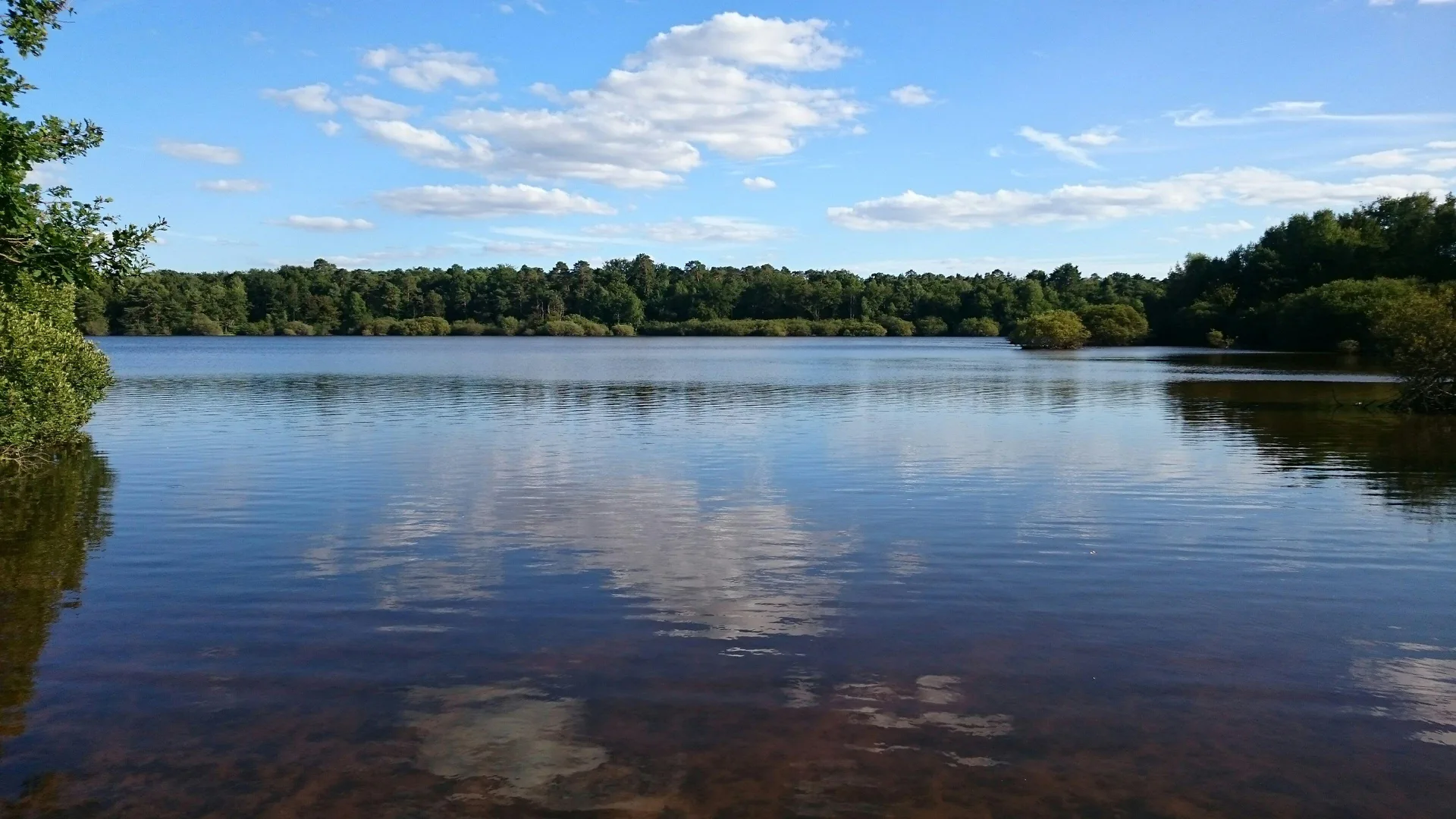 Etang de Sarragosse à Montereau — À 3,1 km du lac