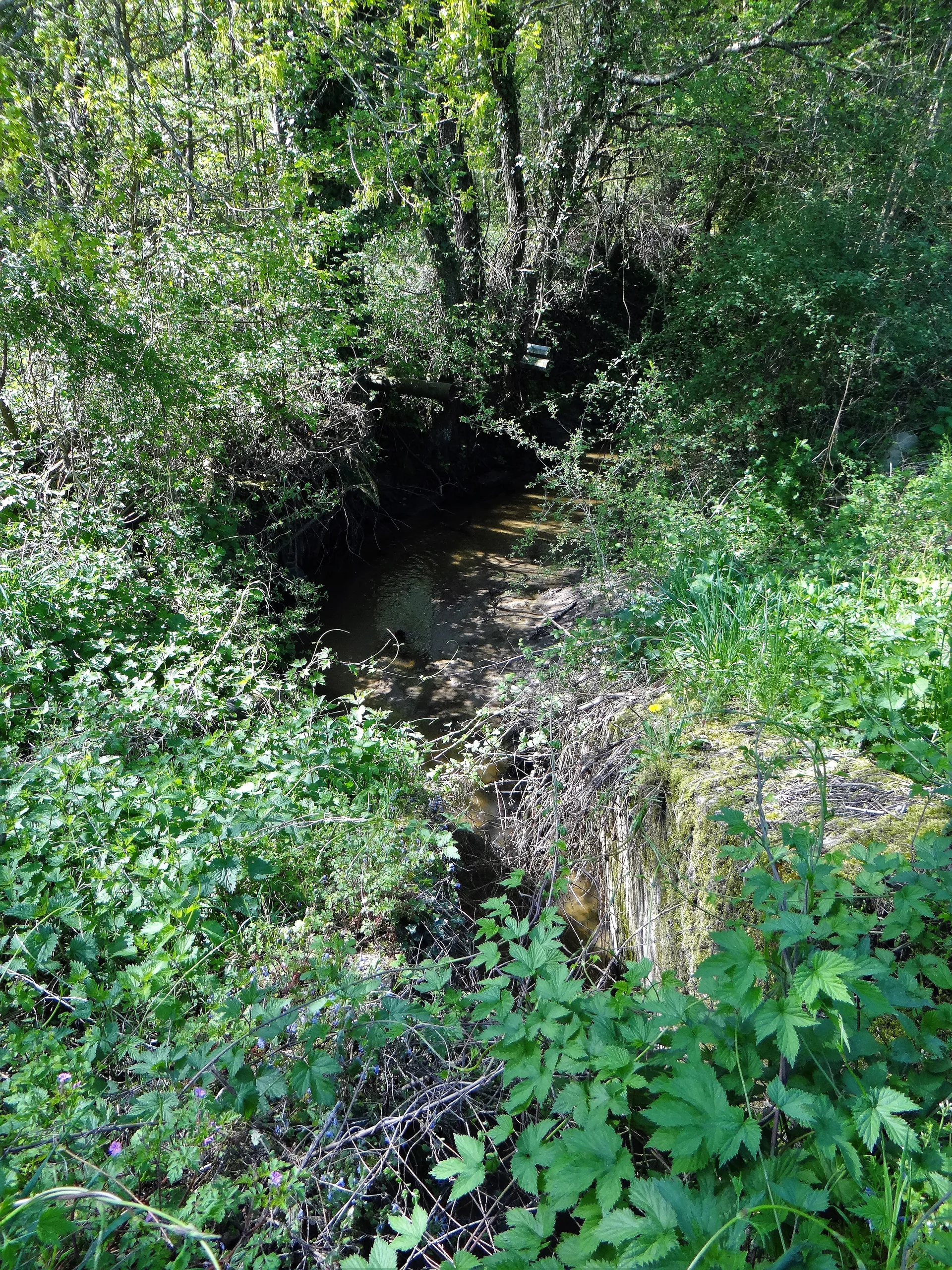 Etang de Sarragosse à Montereau — À 4,6 km du lac