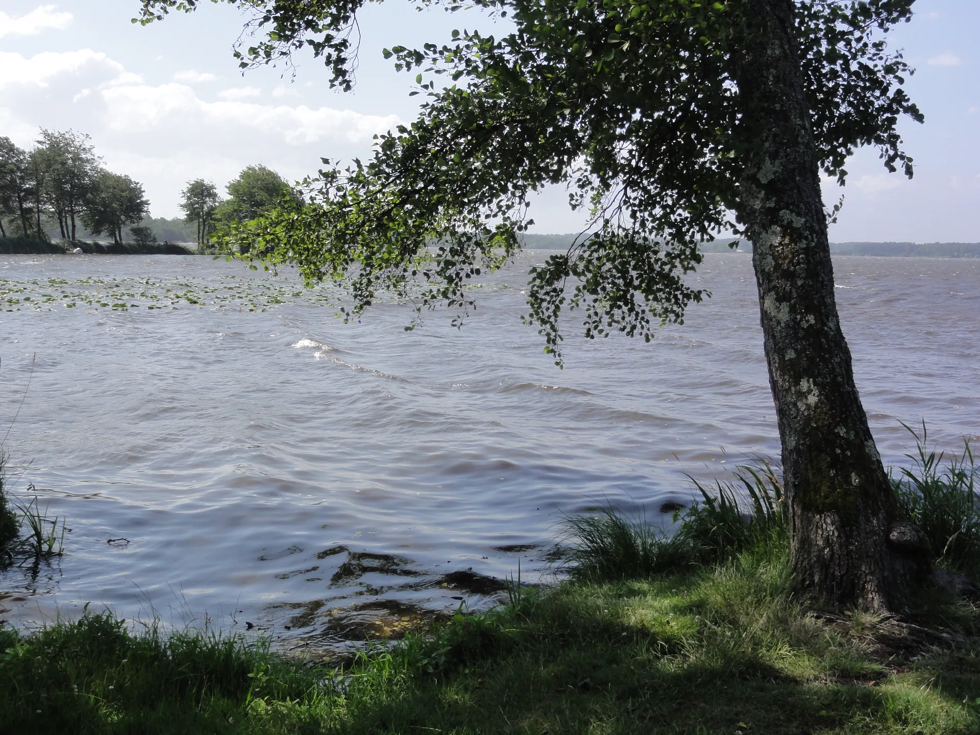 Etang de Soustons à Soustons — À 4,3 km du lac