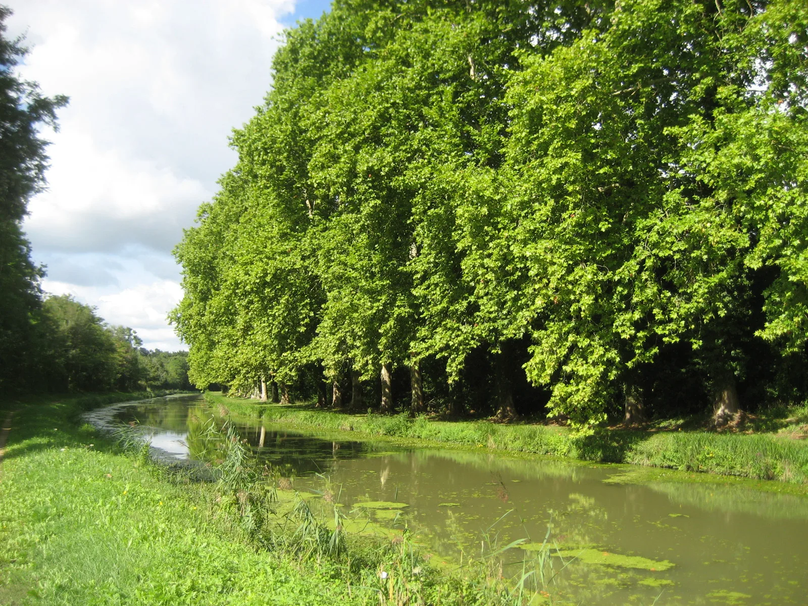 Etang de St Maurice sur Fessard à Saint-Maurice-sur-Fessard — À 3,2 km du lac