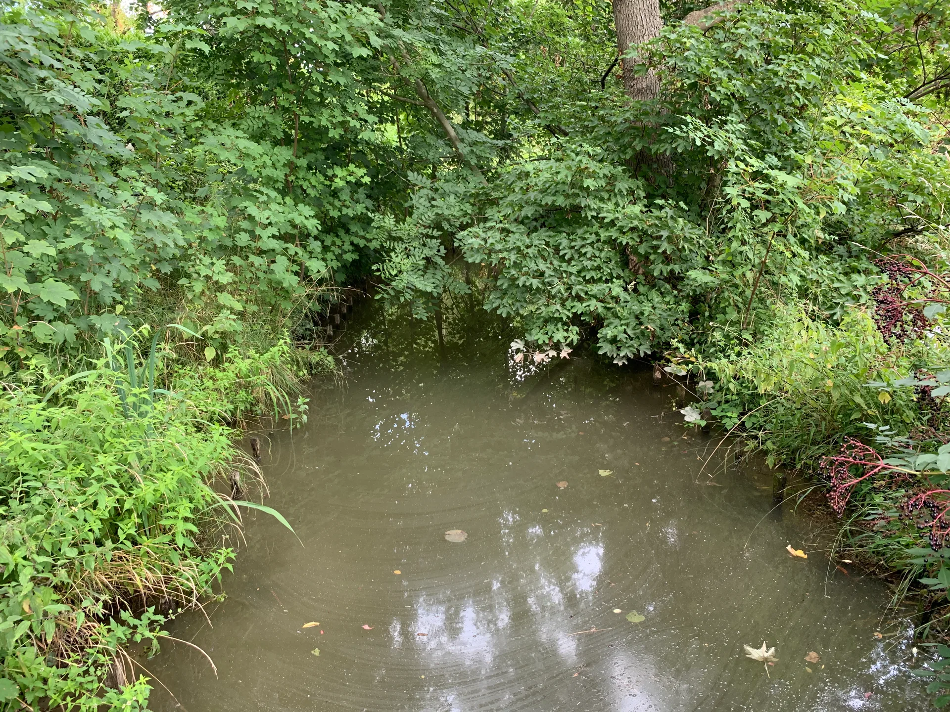 Etang de Suresnes à Paris — À 293 m du lac