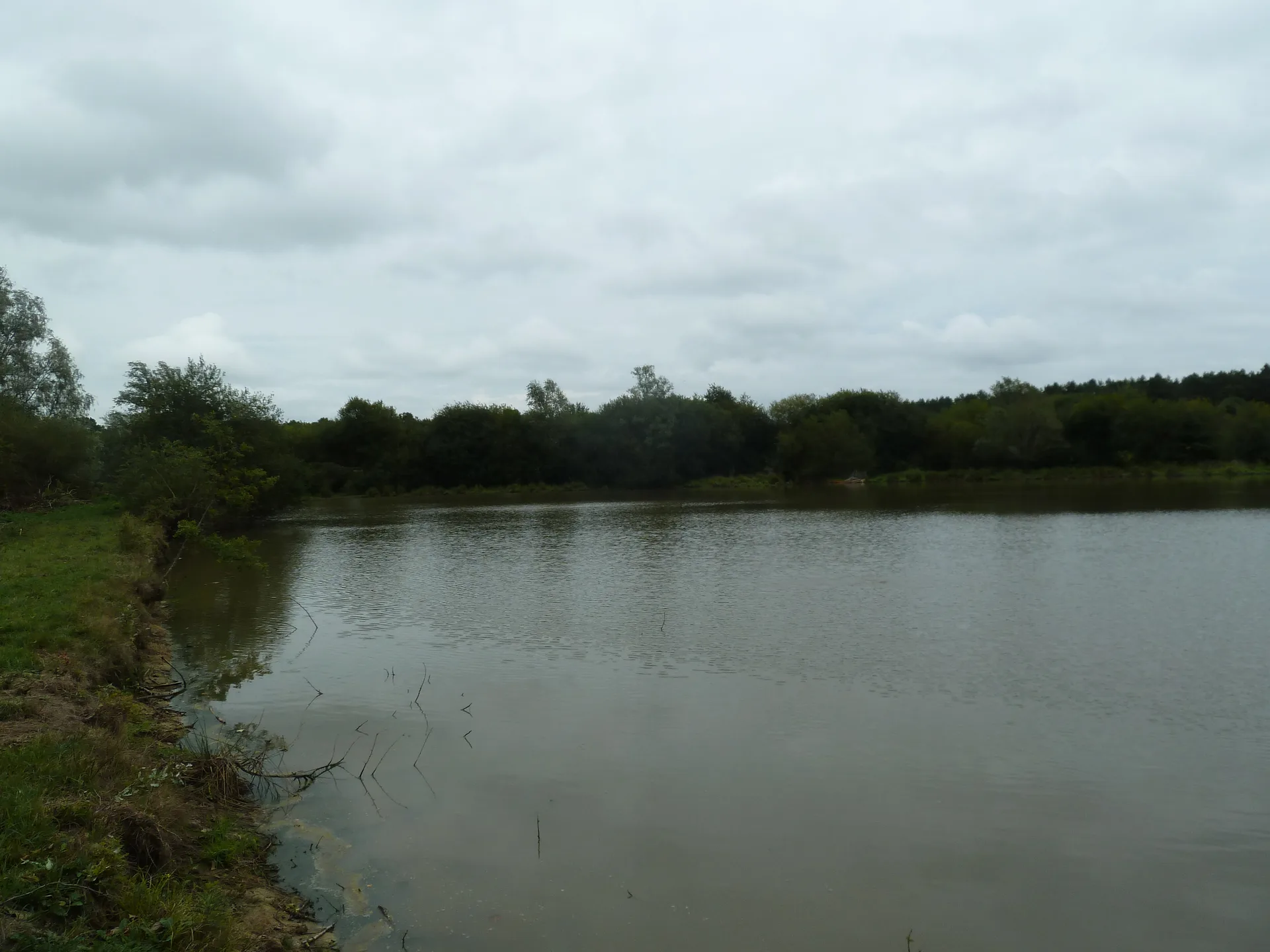 Etang de Theillay à Millançay — À 3,1 km du lac