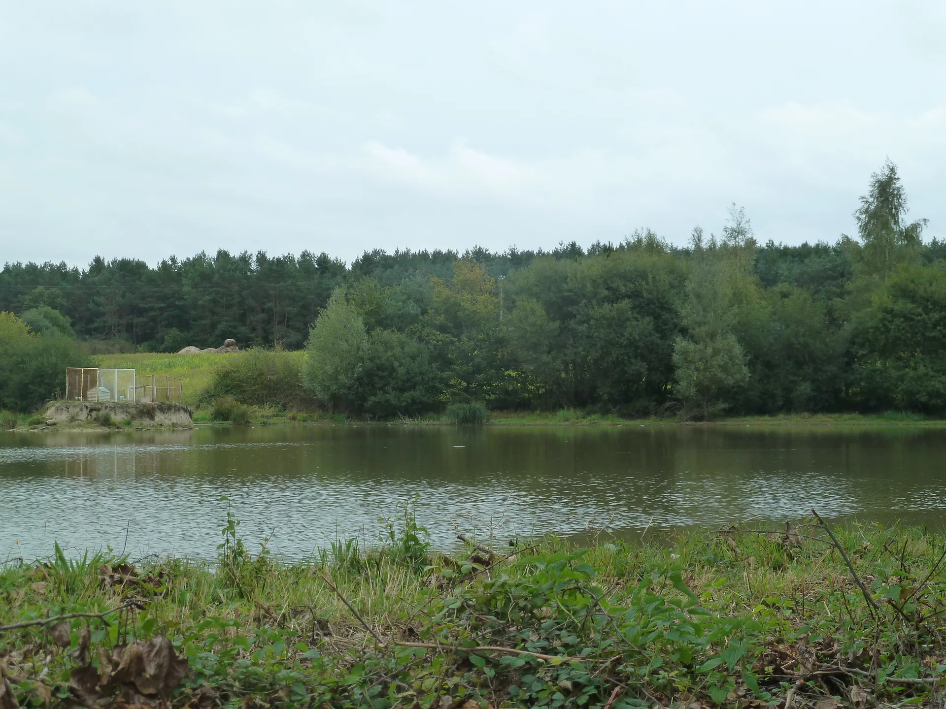 Etang de Theillay à Millançay — À 3,1 km du lac