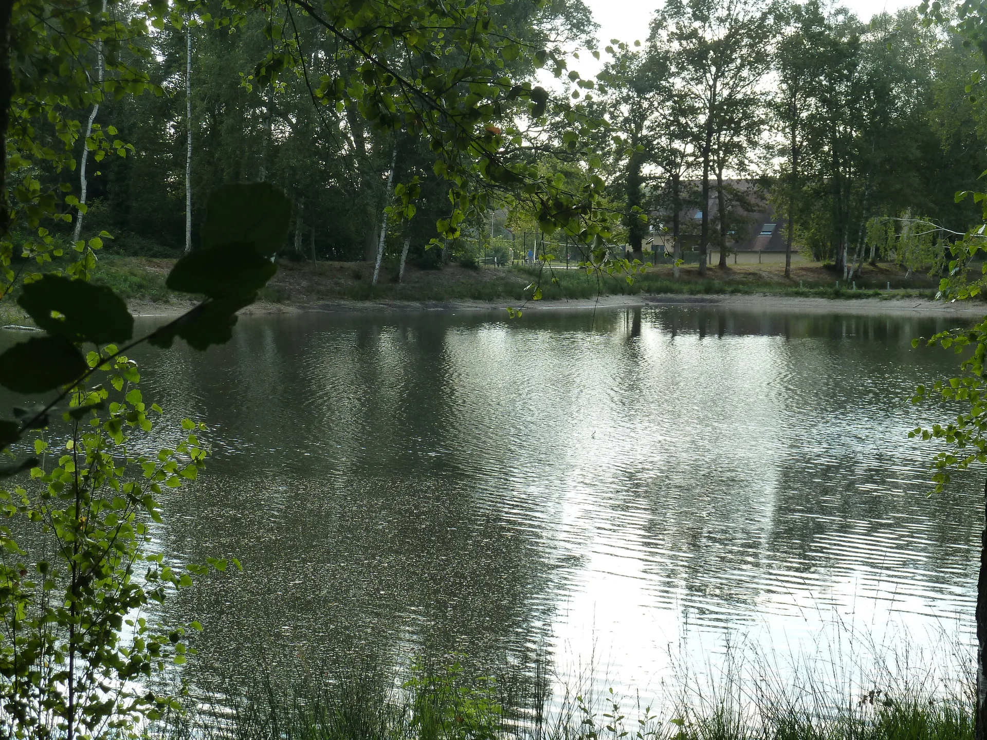 Etang de Tillou à Sainte-Montaine — À 2,2 km du lac