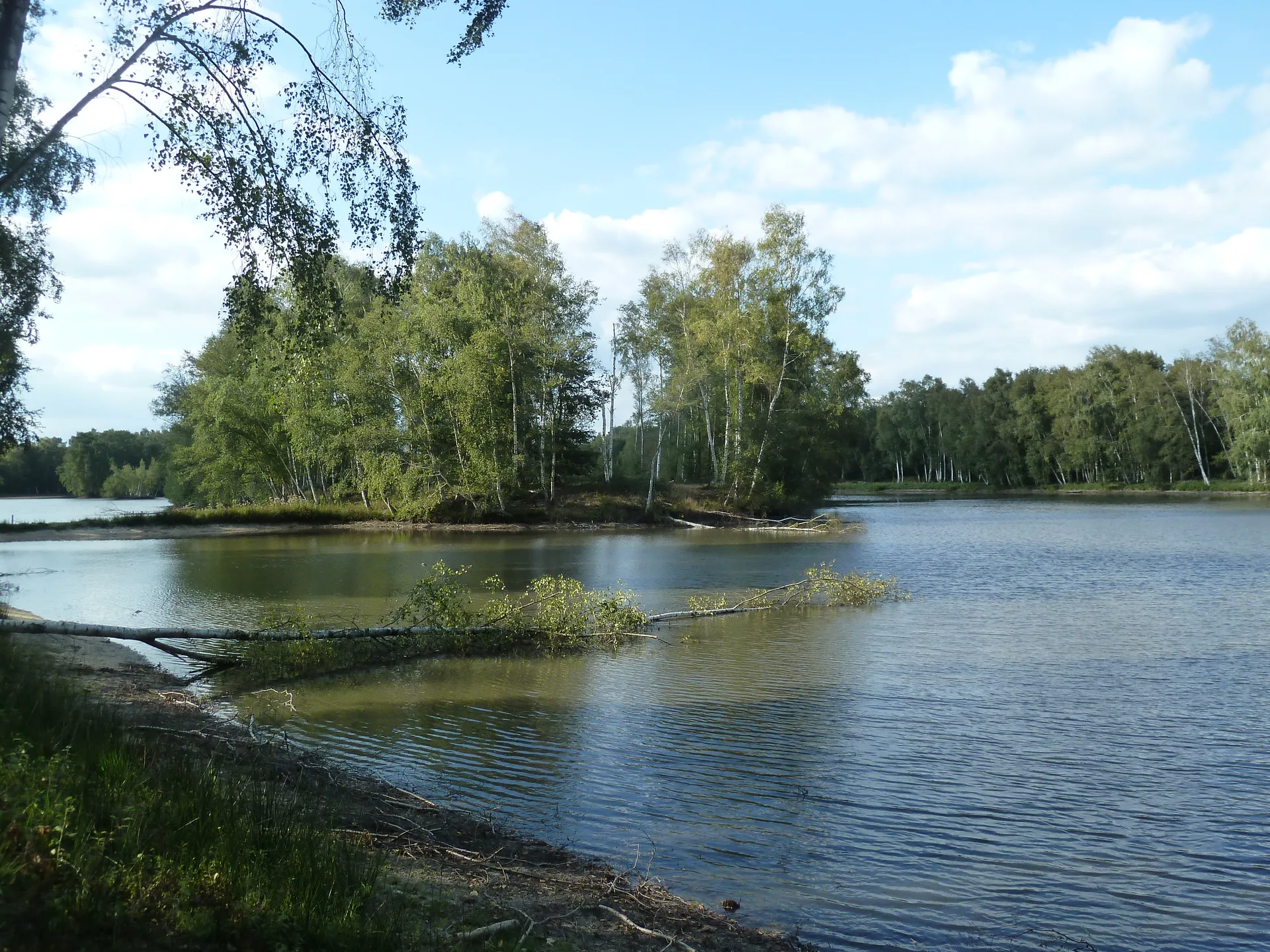 Etang de Tillou à Sainte-Montaine — À 2,3 km du lac