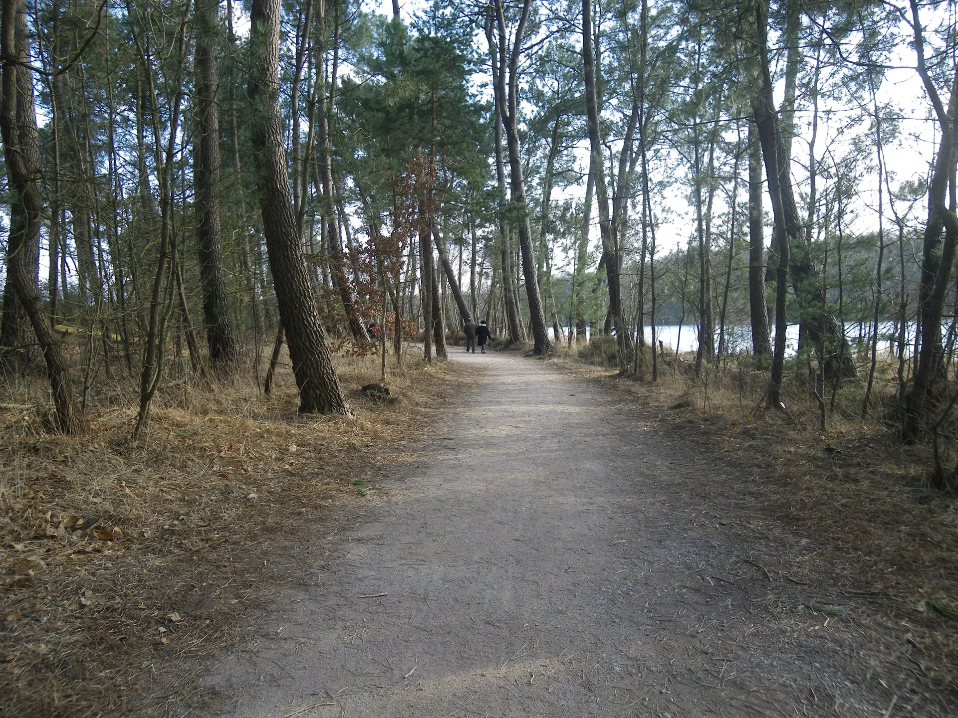 Etang de Tremelin à Iffendic — À 511 m du lac