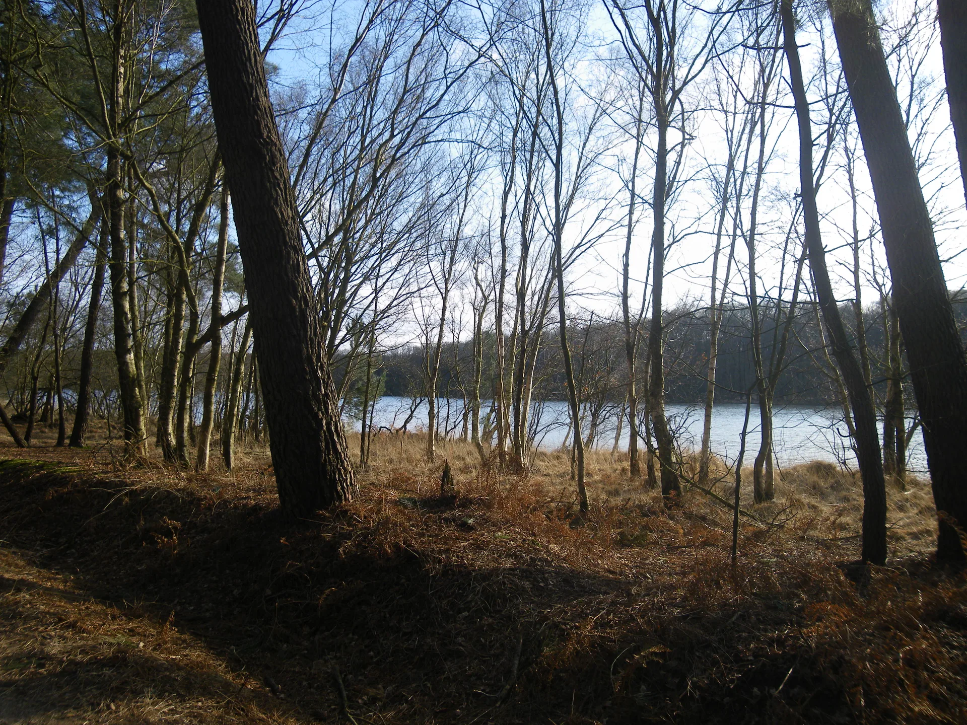 Etang de Tremelin à Iffendic — À 608 m du lac