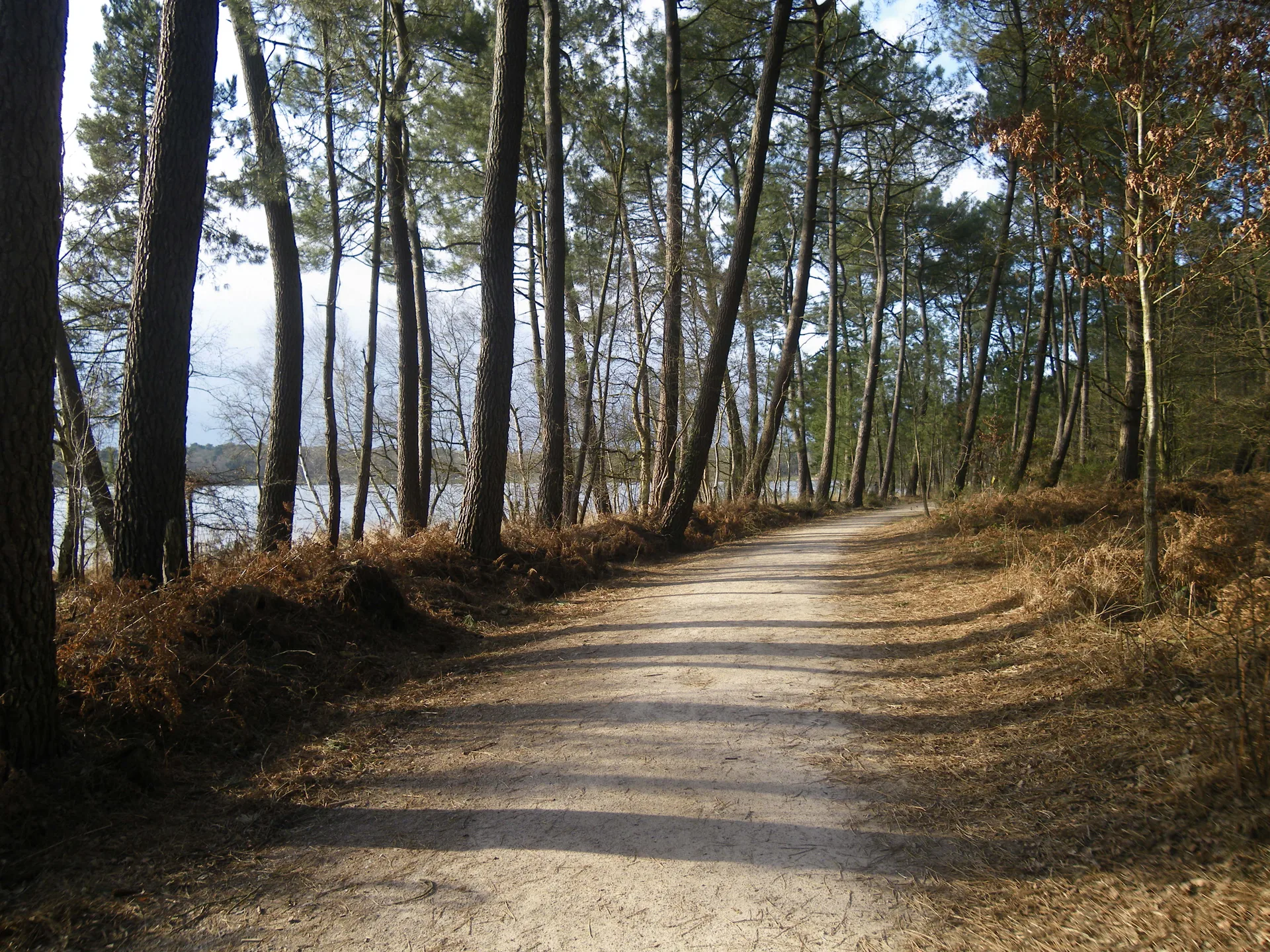 Etang de Tremelin à Iffendic — À 732 m du lac