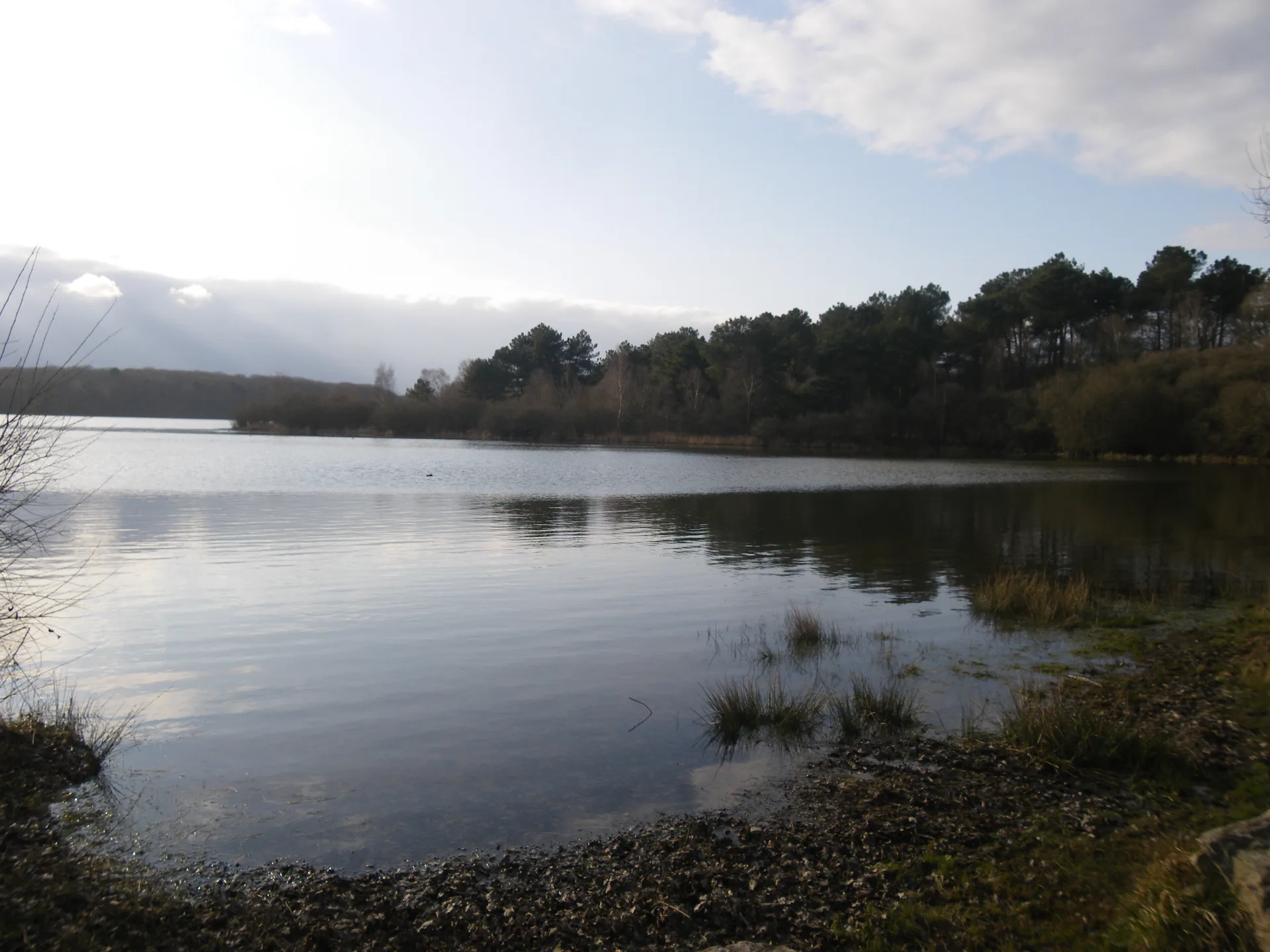 Etang de Tremelin à Iffendic — À 1,1 km du lac