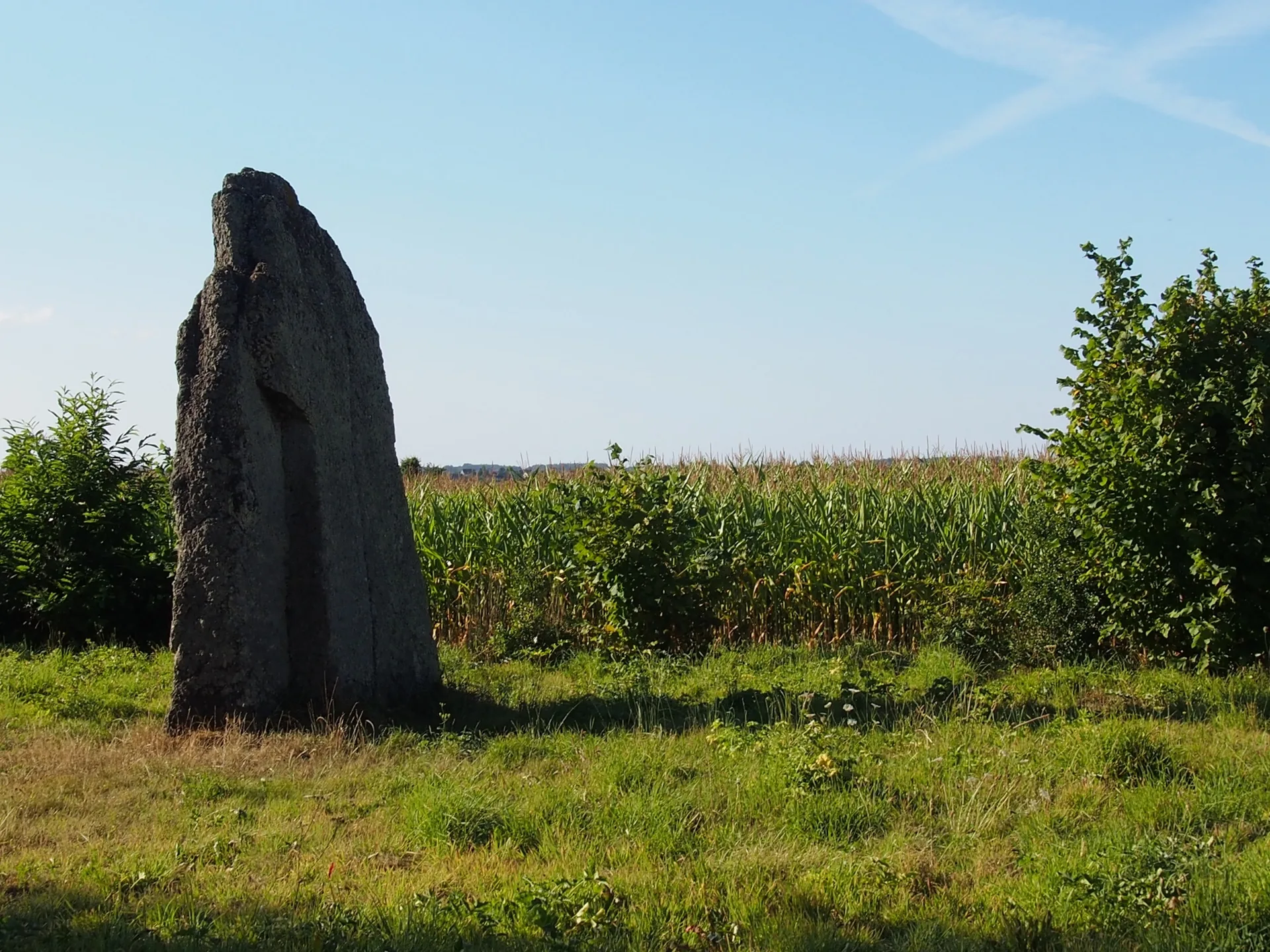 Etang de Tremelin à Iffendic — À 1,8 km du lac