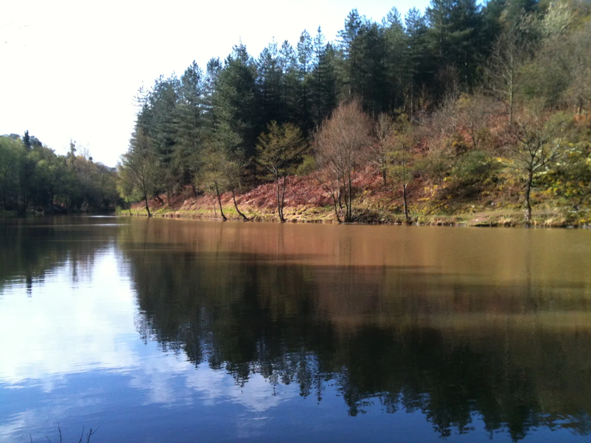 Etang de Tremelin à Iffendic — À 2,3 km du lac